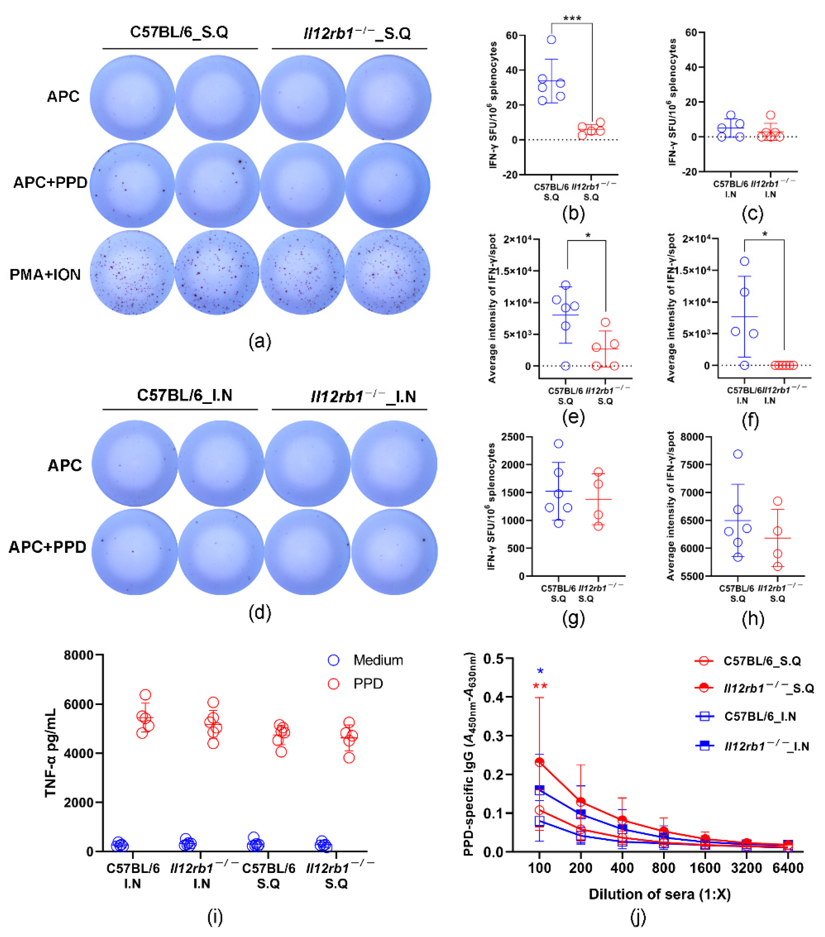 Vaccines 10 01147 g003