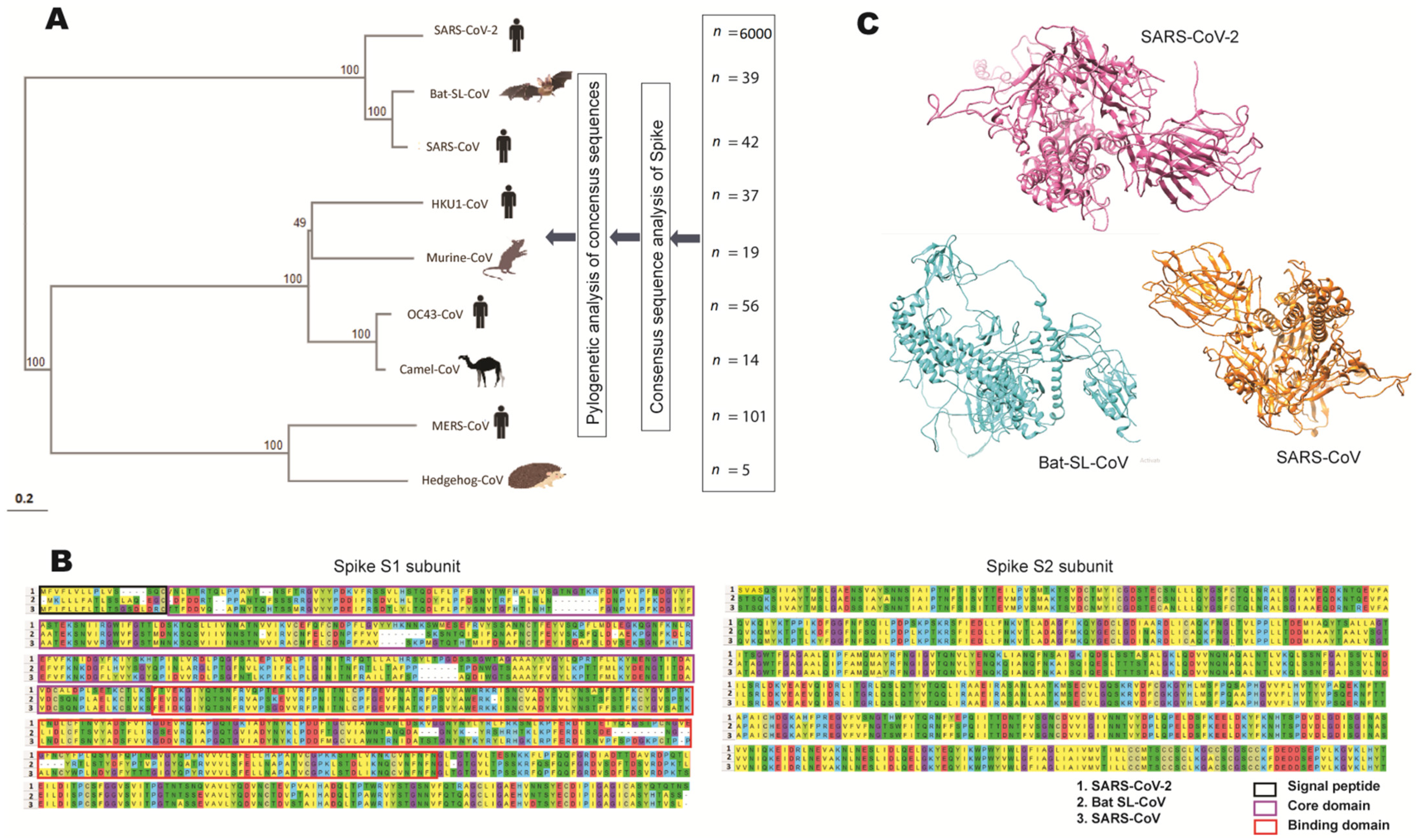 Frontiers  Multiple-Allele MHC Class II Epitope Engineering by a Molecular  Dynamics-Based Evolution Protocol