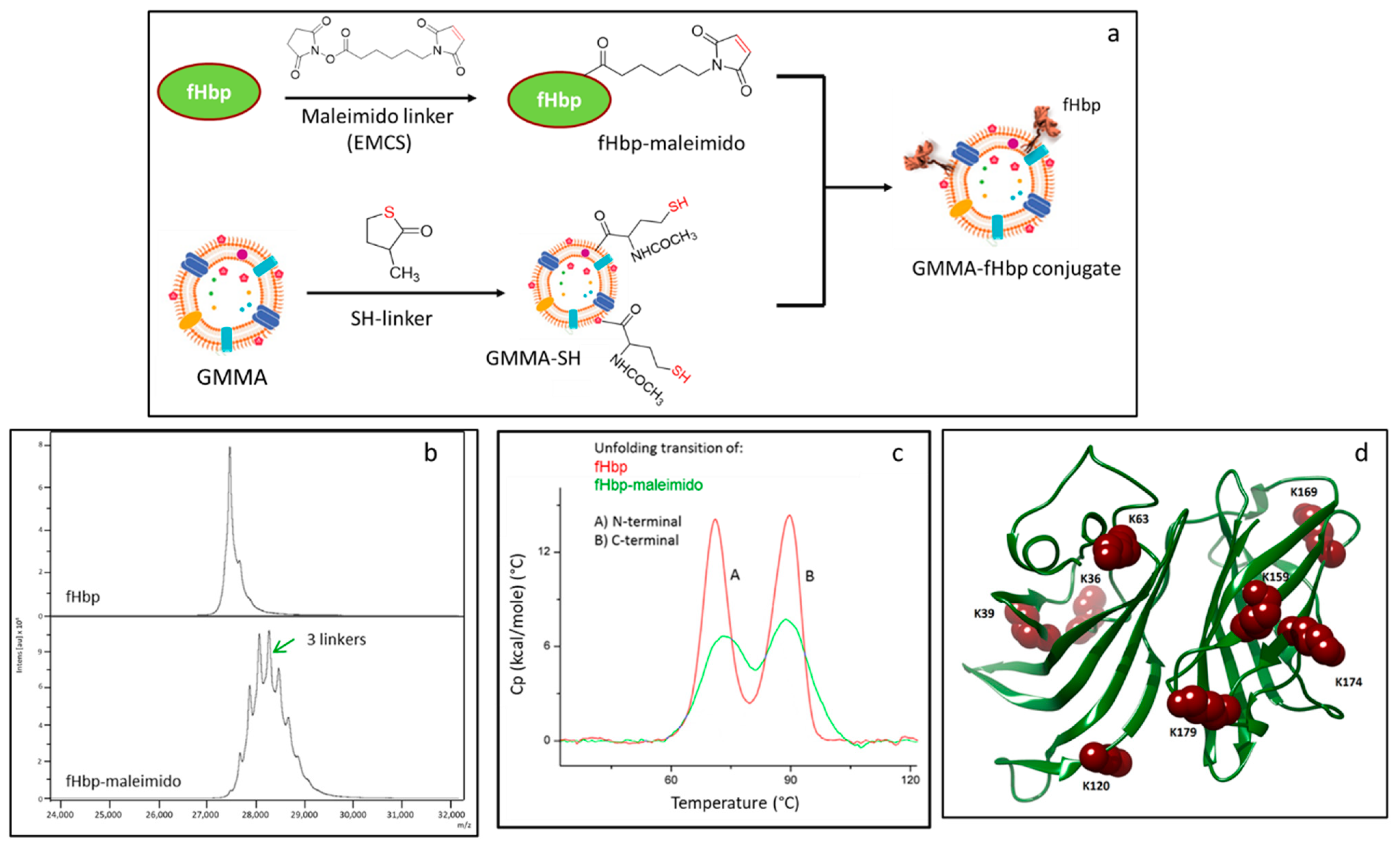 Vaccines 10 01182 g001