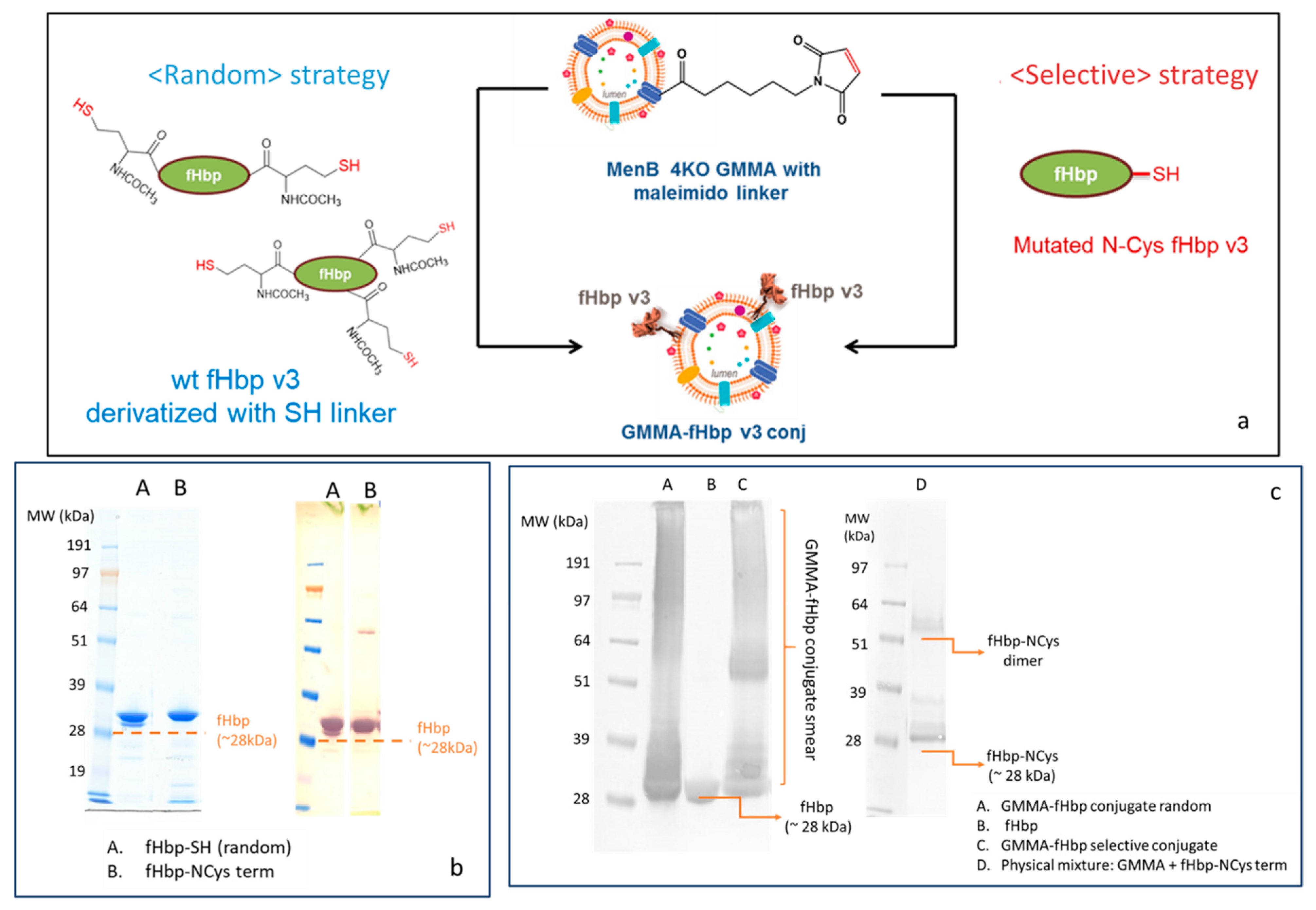 Vaccines 10 01182 g002
