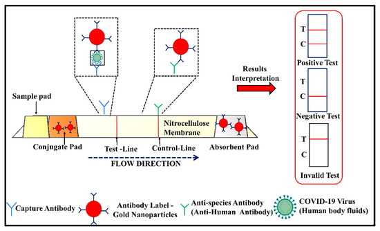 Chinese Testosterone Fast Test Kit (Immunofluorescence Assay) Suppliers