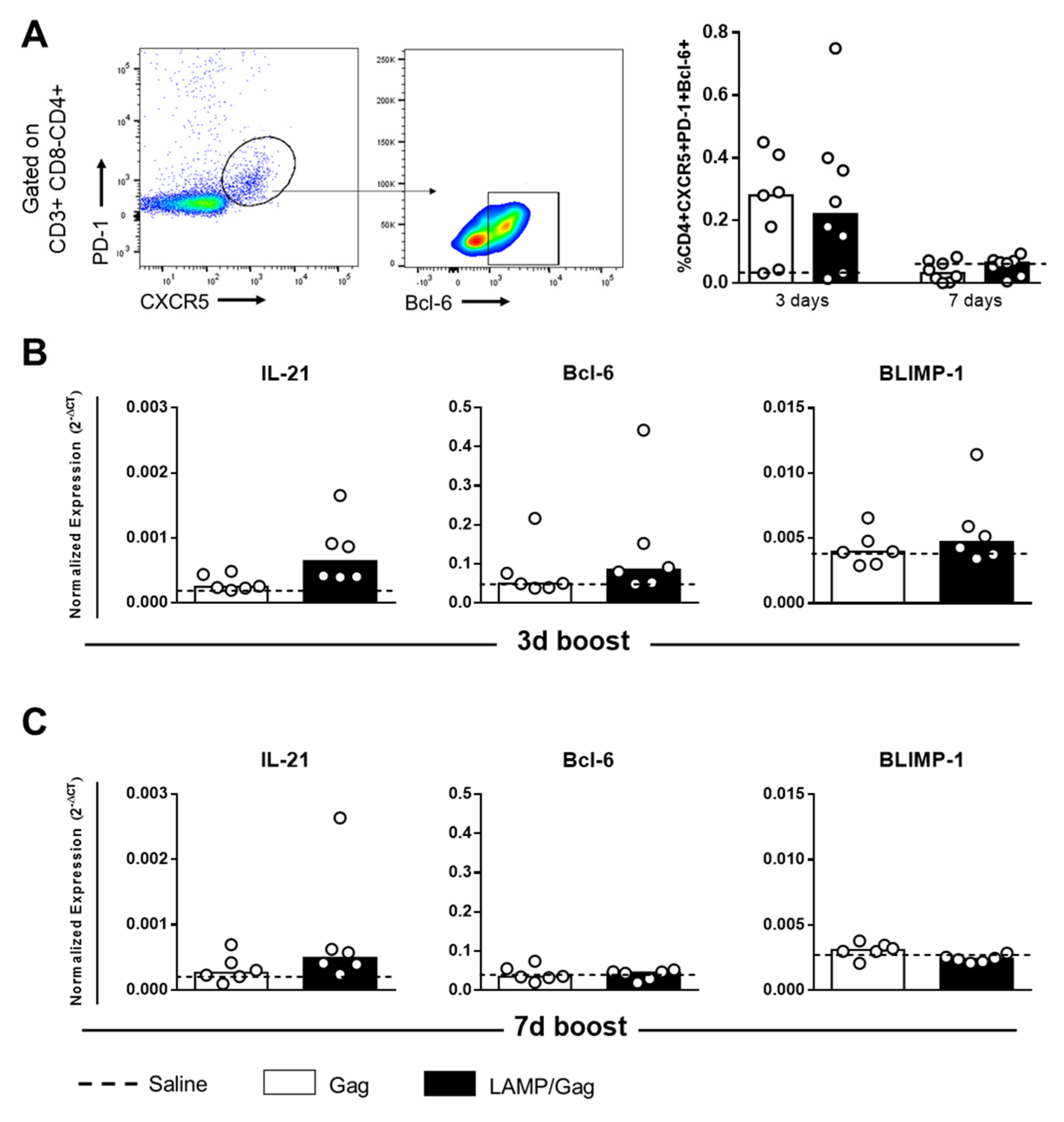 Vaccines 10 01246 g003