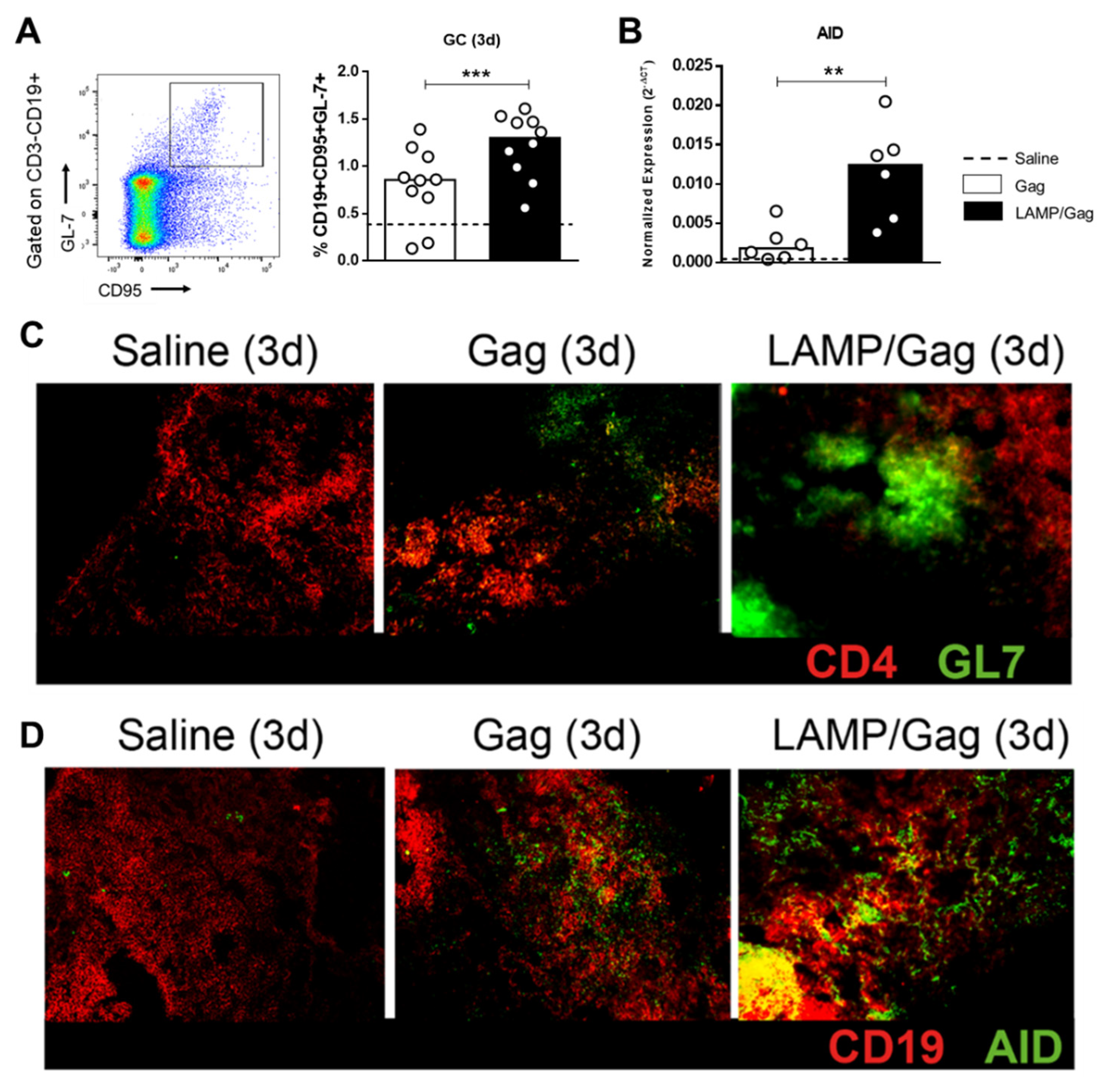 Vaccines 10 01246 g004