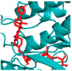 Vaccines 10 01248 i004