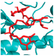 Vaccines 10 01248 i009