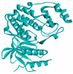 Vaccines 10 01248 i011