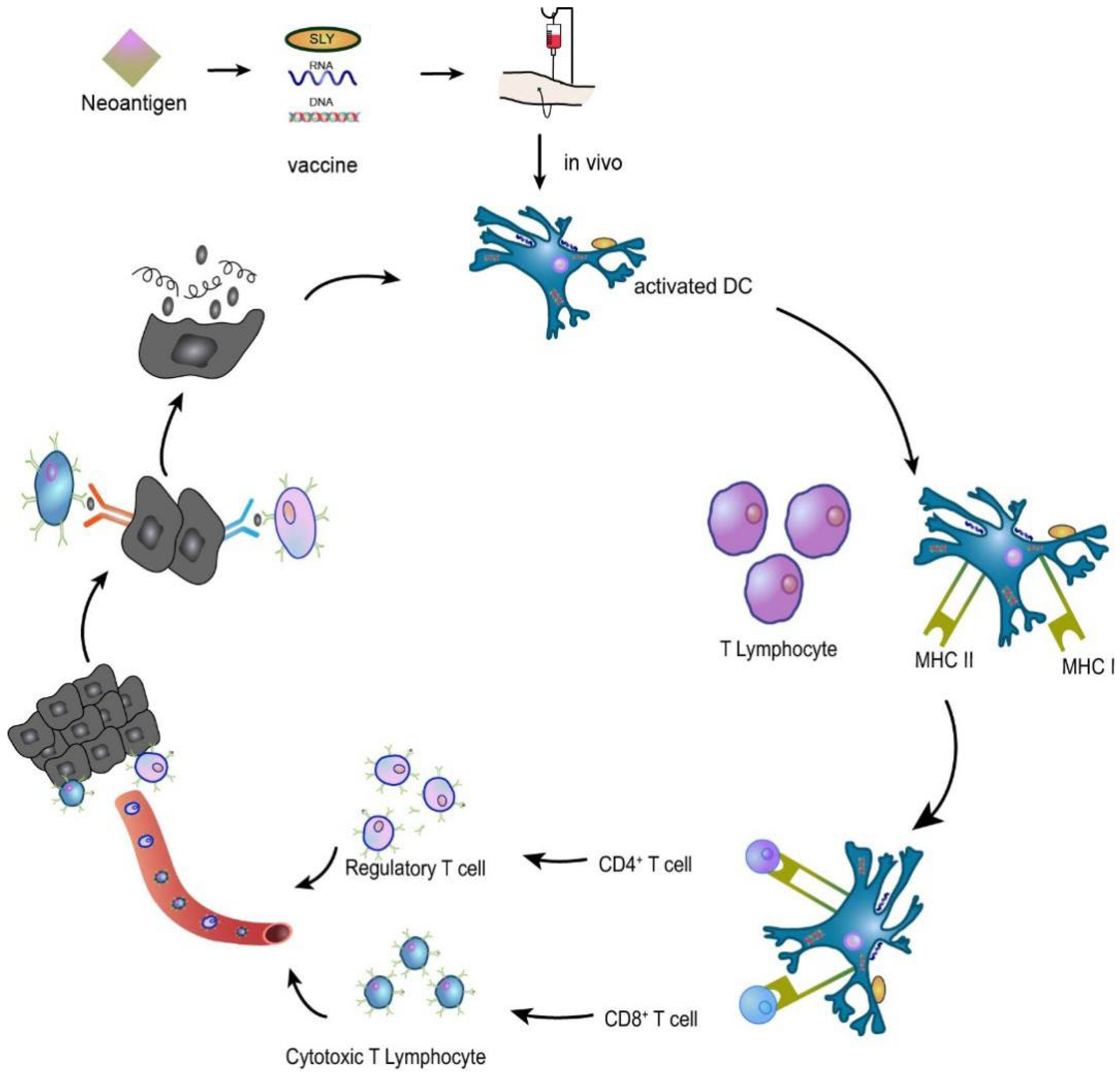 Vaccines 10 01272 g005