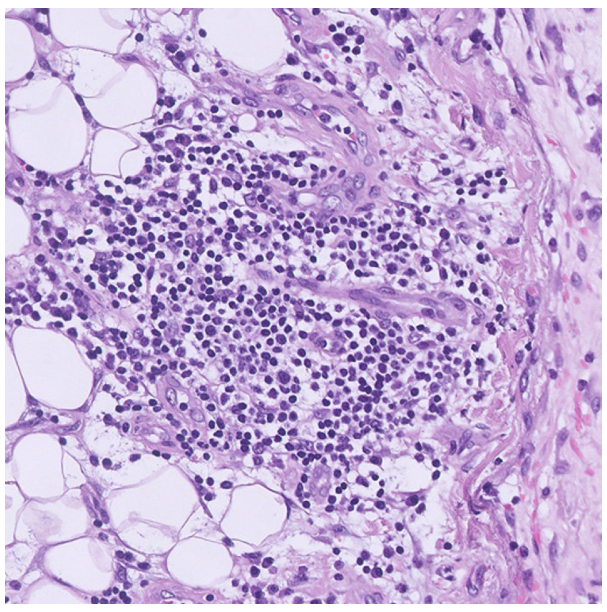 Vaccines 10 01286 g003