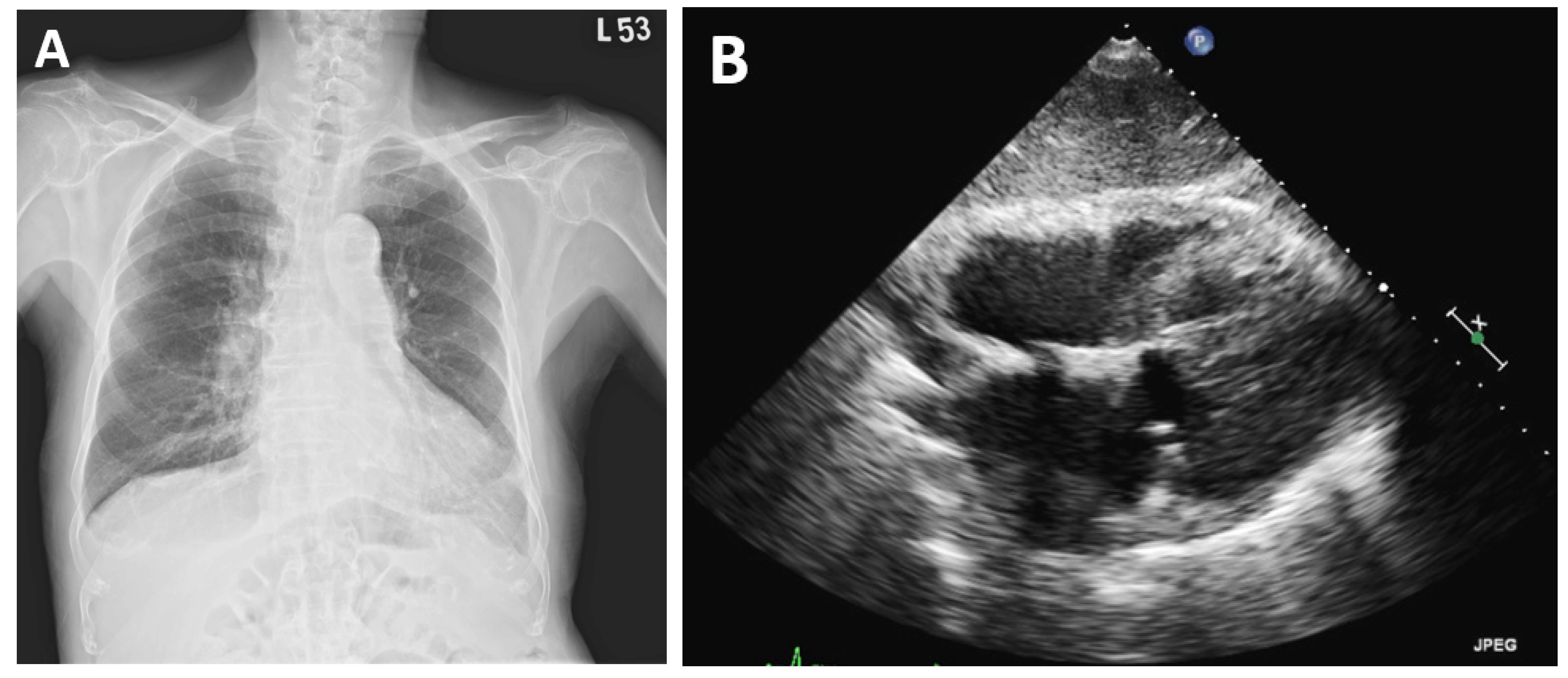 Vaccines 10 01286 g004