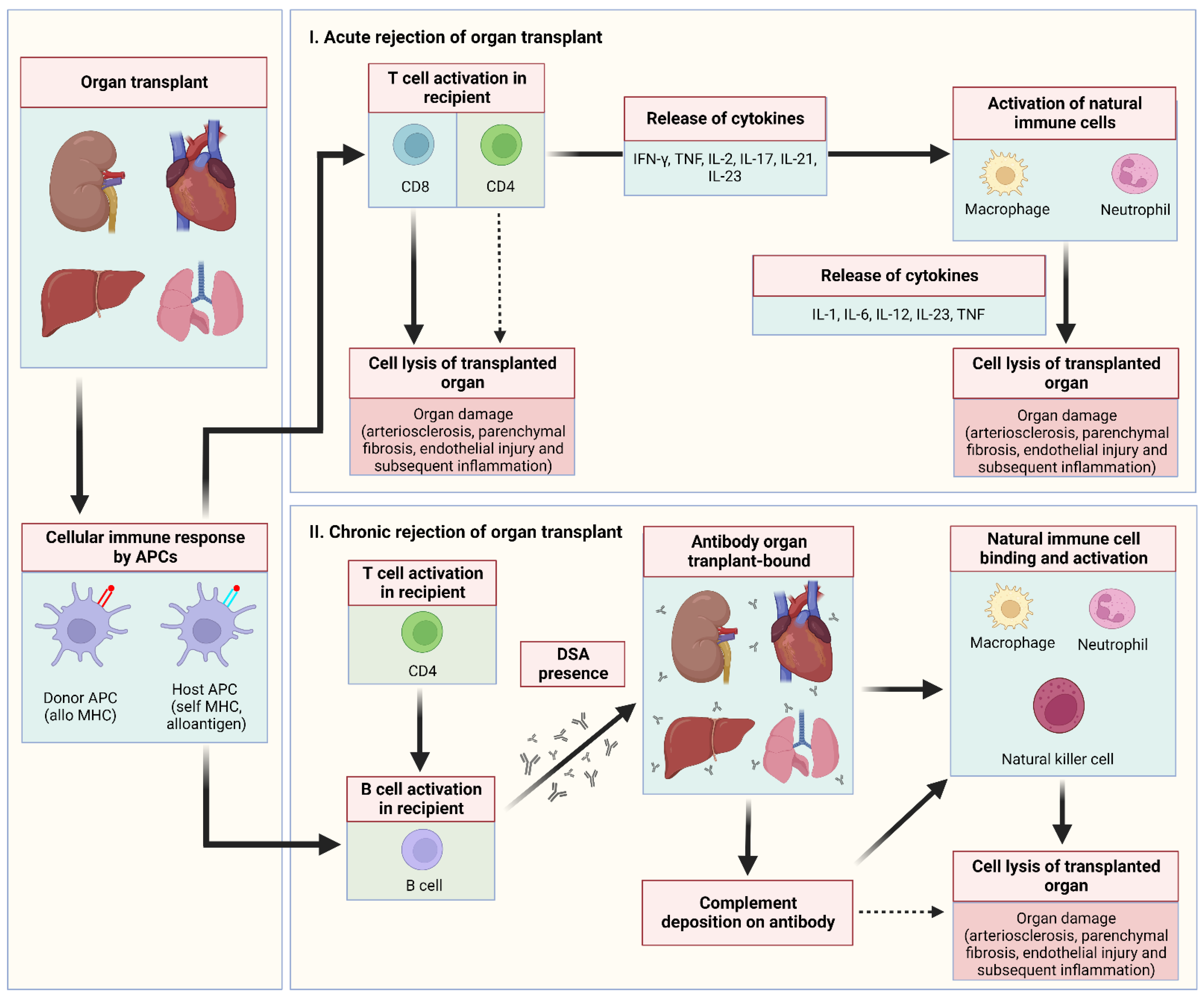 https://www.mdpi.com/vaccines/vaccines-10-01289/article_deploy/html/images/vaccines-10-01289-g001.png