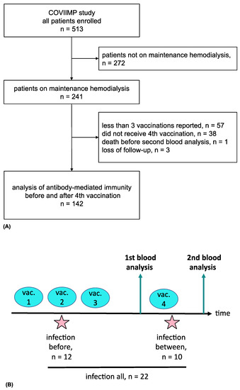 Vaccines | Free Full-Text | Improved SARS-CoV-2 Neutralization of Delta and  Omicron BA.1 Variants of Concern after Fourth Vaccination in Hemodialysis  Patients | HTML