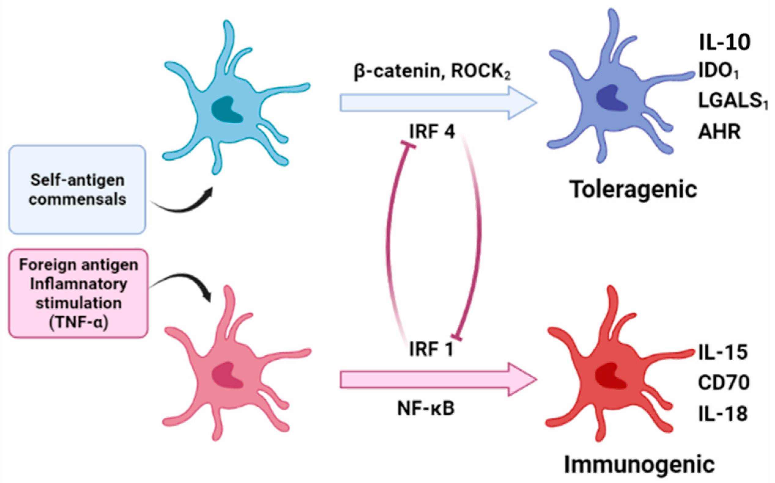 Vaccines 10 01380 g003