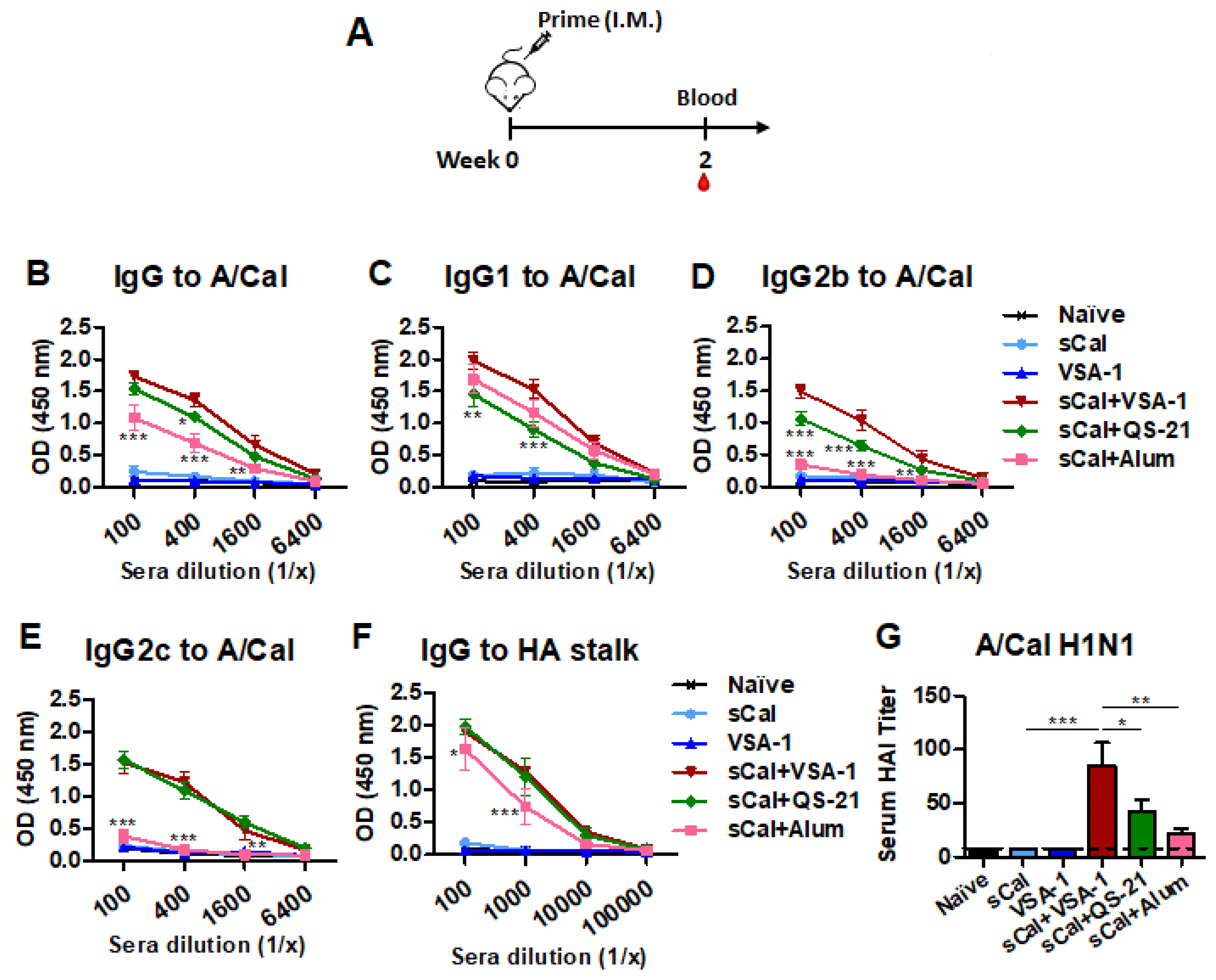 Vaccines 10 01383 g002