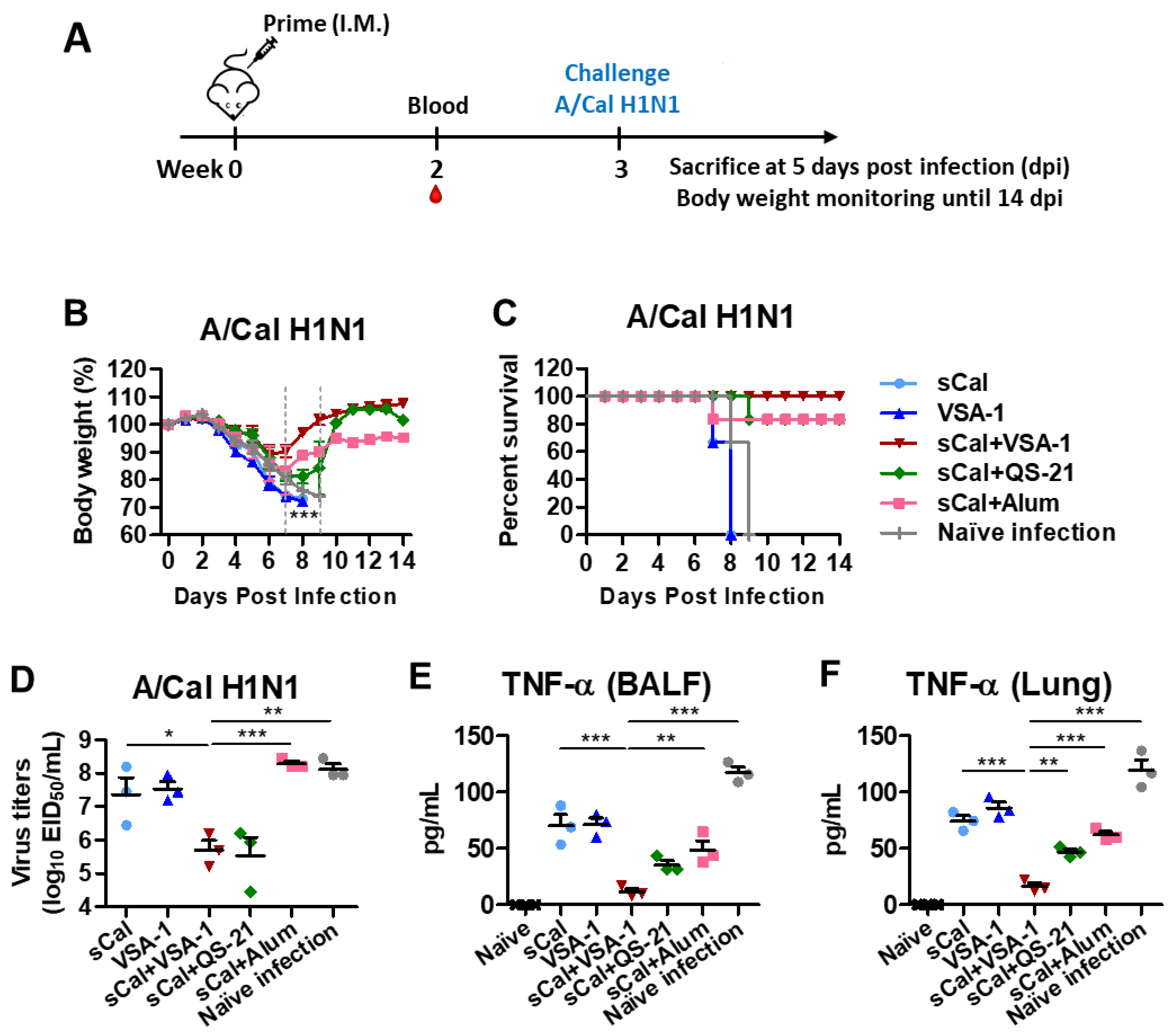 Vaccines 10 01383 g003