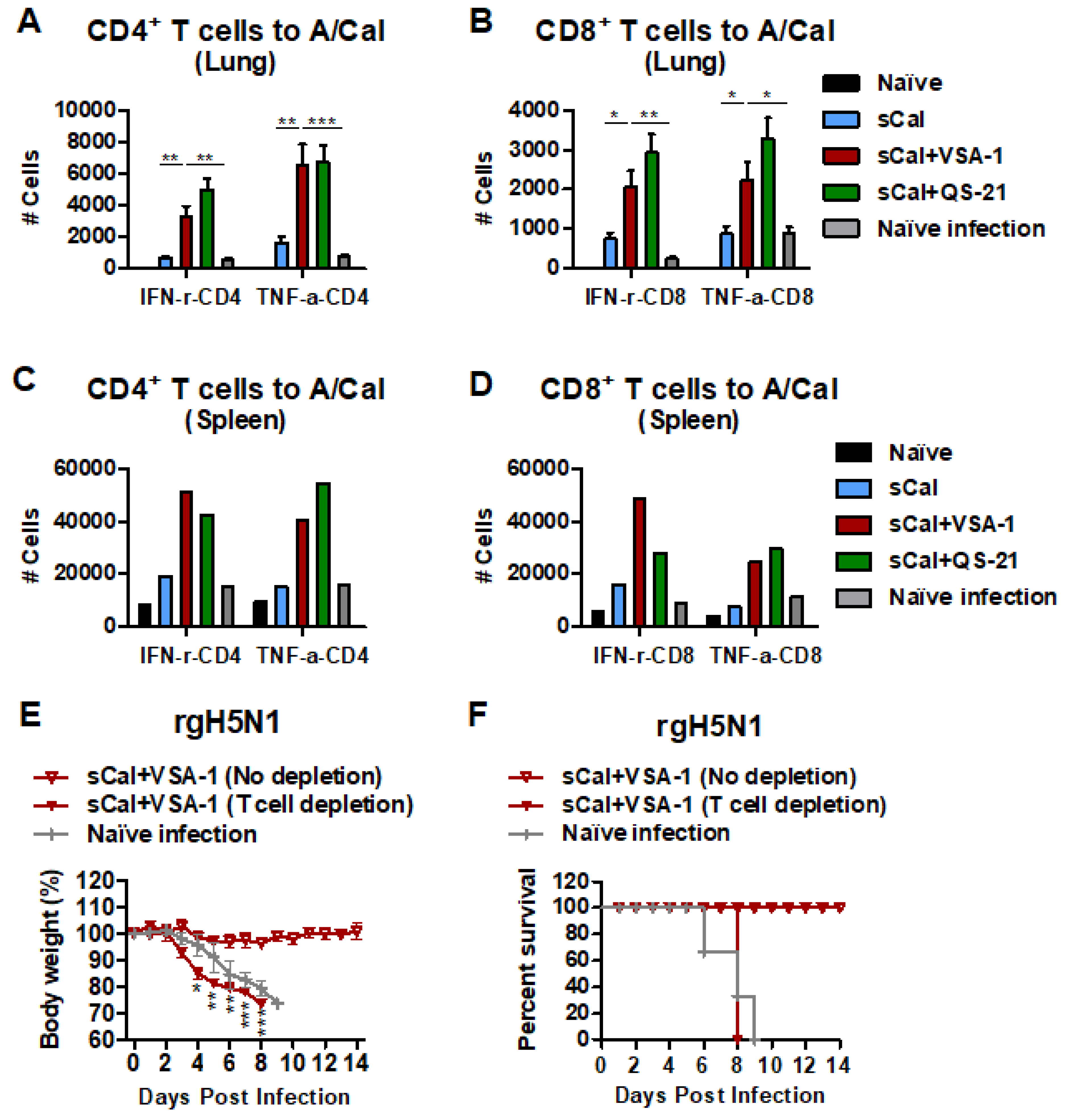 Vaccines 10 01383 g007
