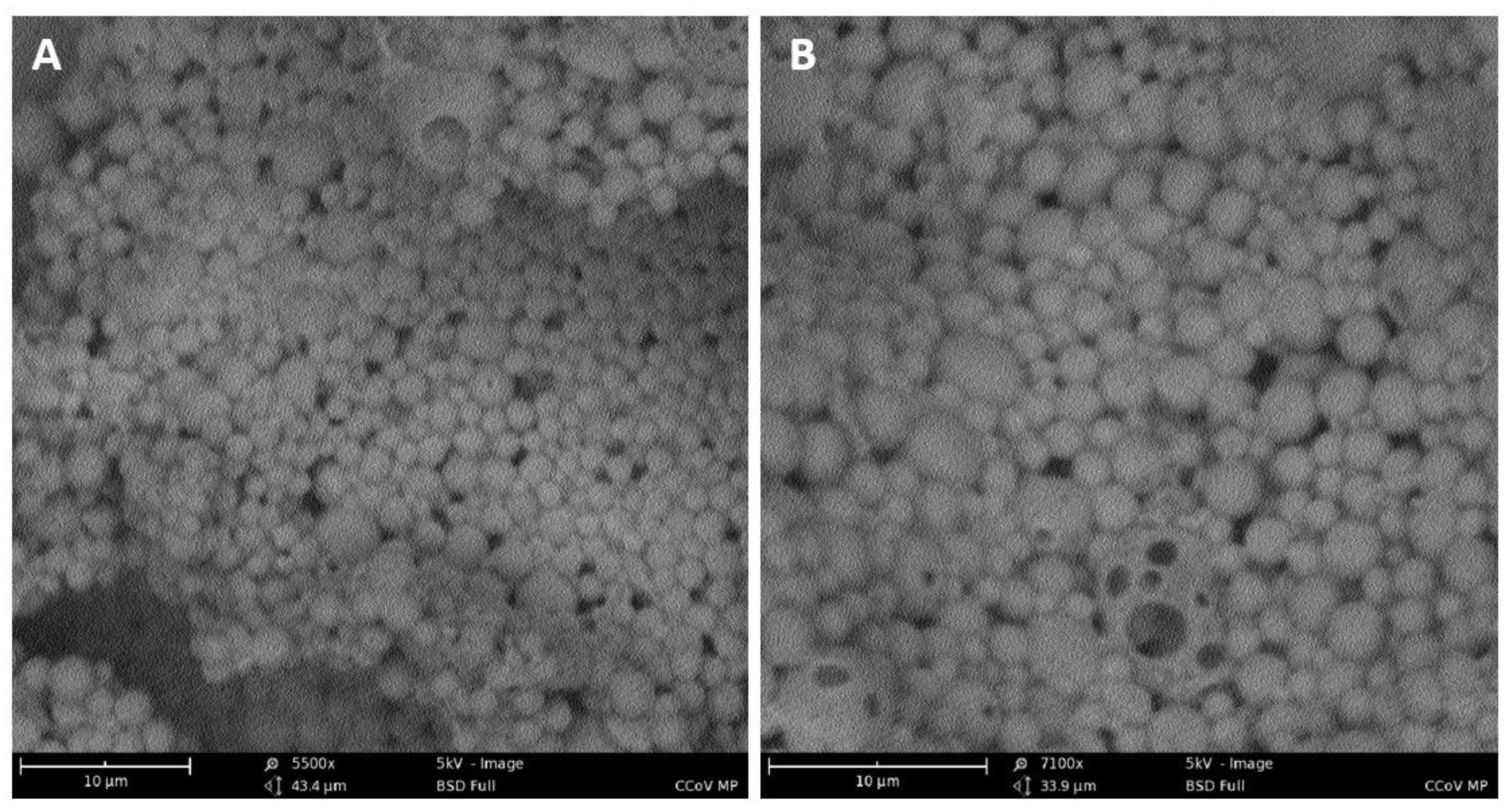 Vaccines 10 01491 g003