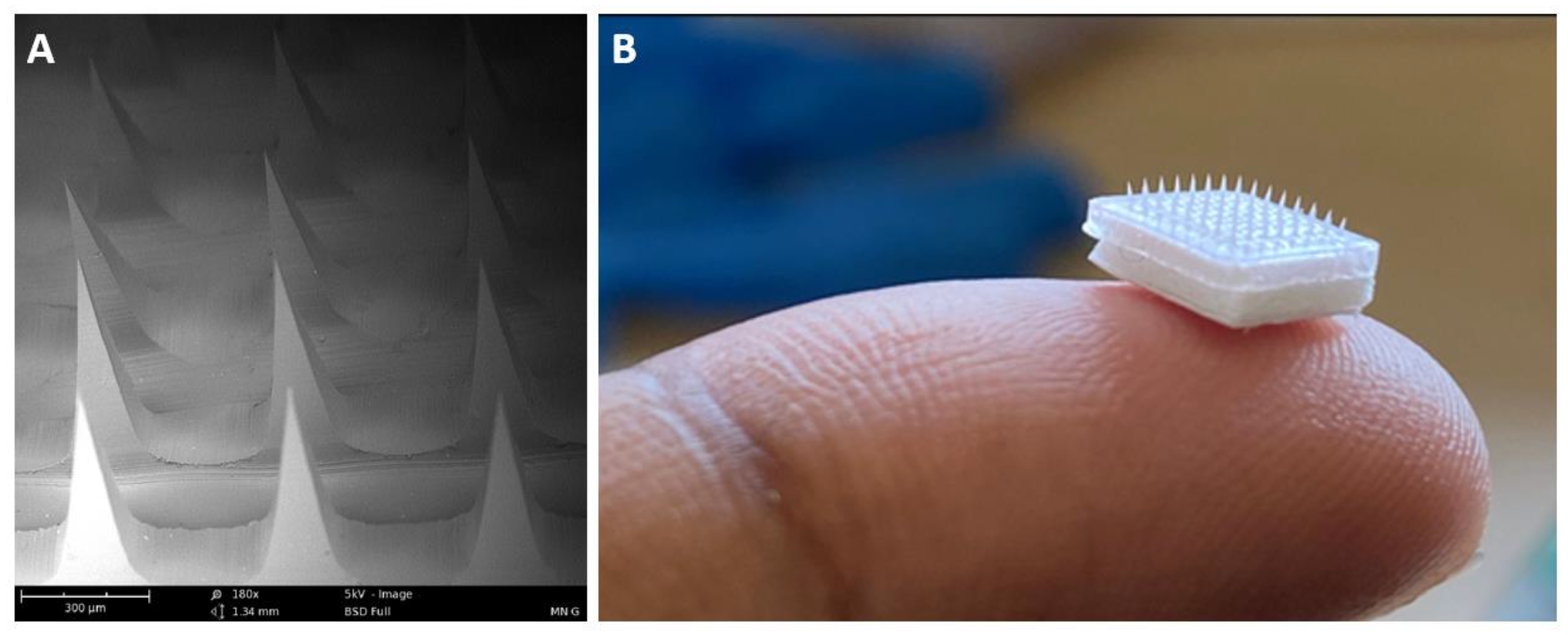 Vaccines 10 01491 g008