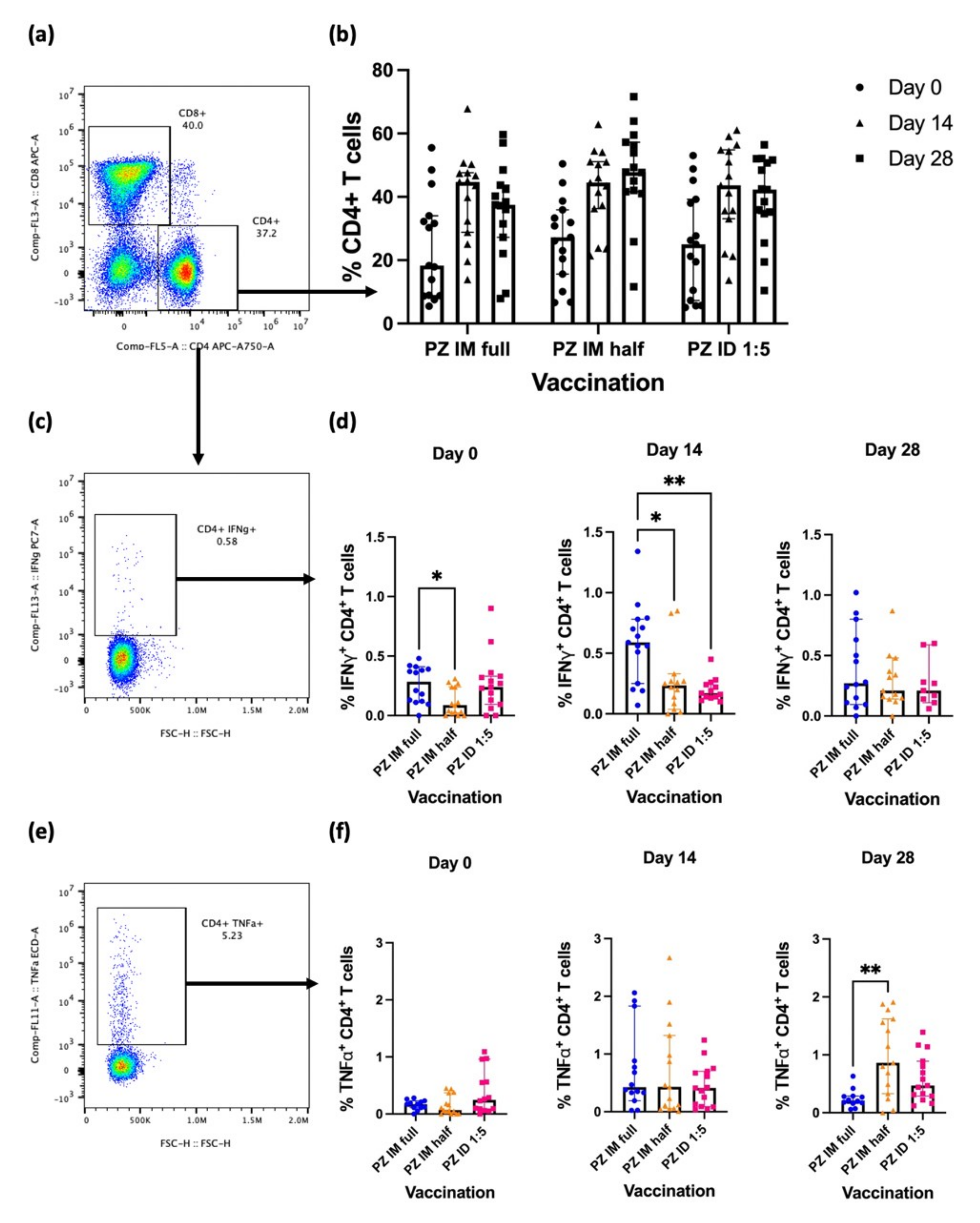 Vaccines 10 01494 g001