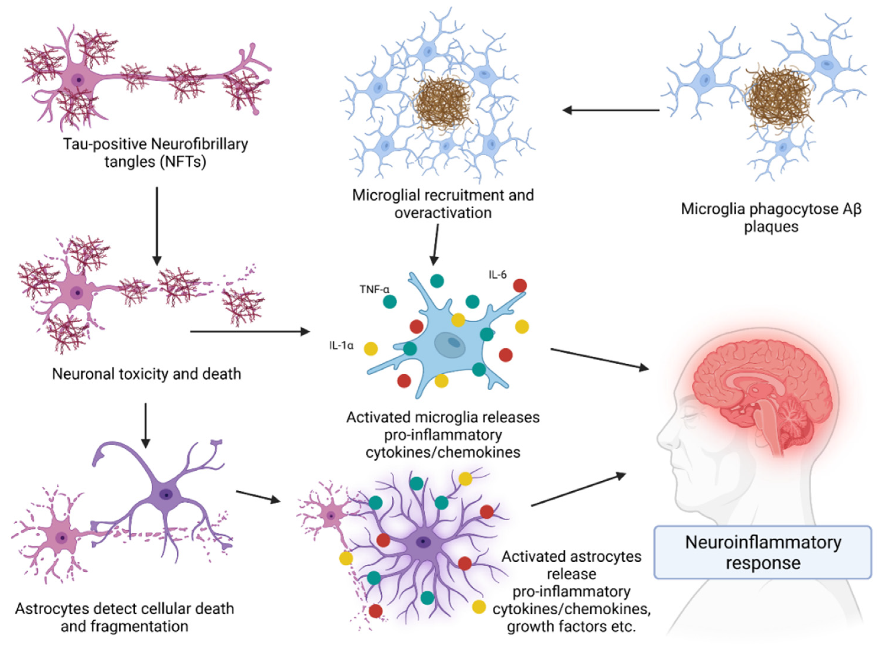 Vaccines 10 01527 g003