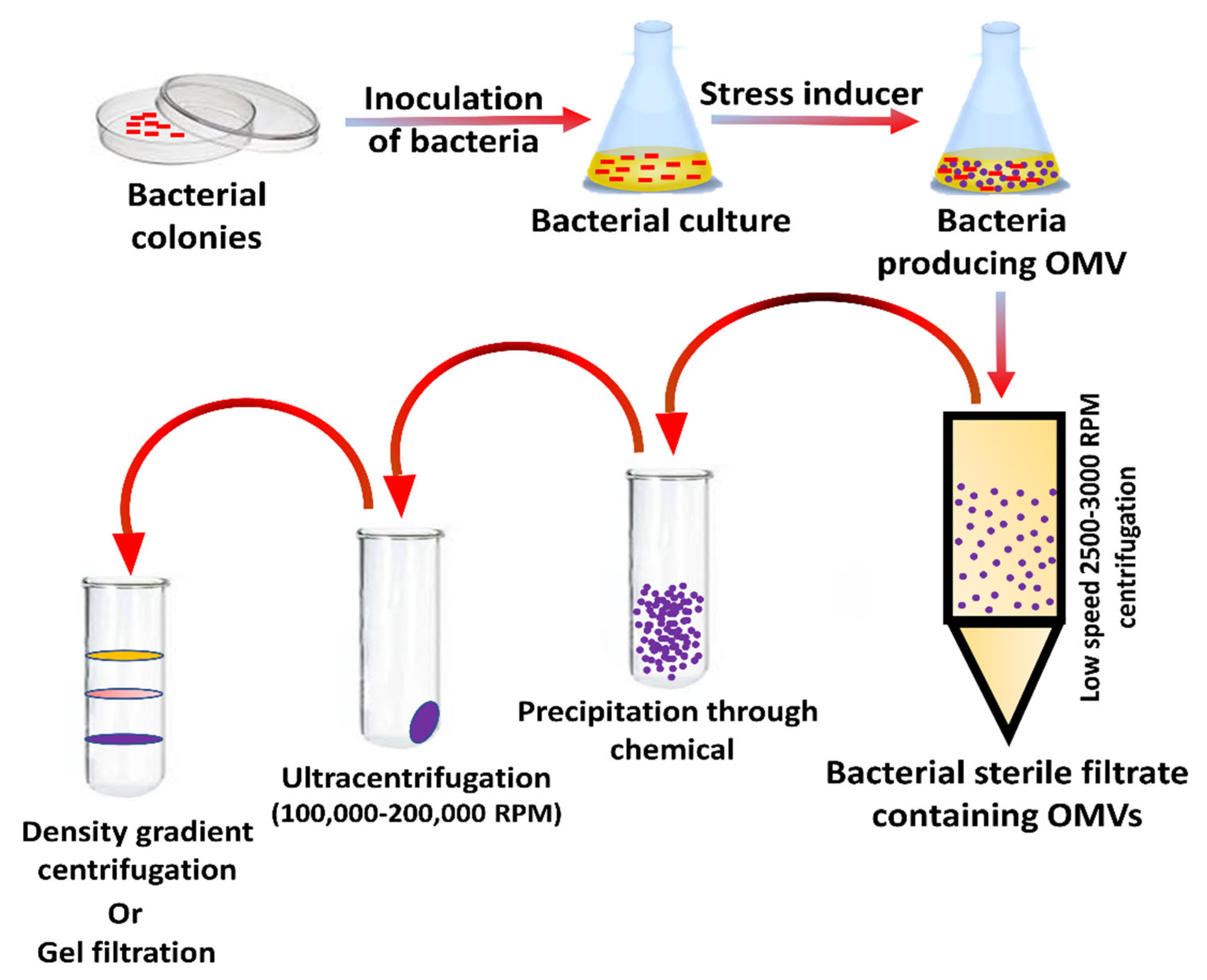Vaccines 10 01578 g005