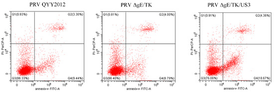 Vaccines | Free Full-Text | The Deletion of US3 Gene of Pseudorabies ...