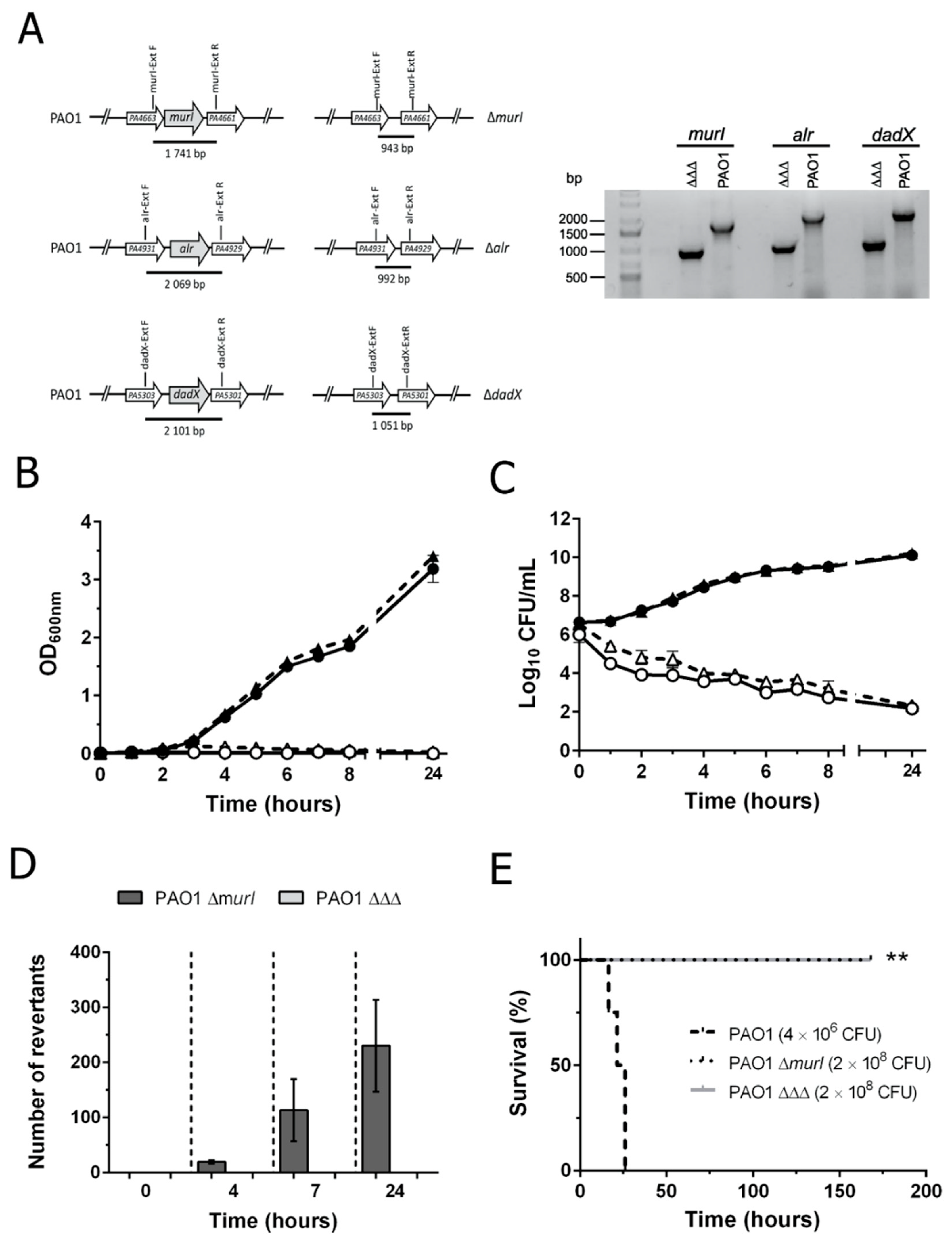 Vaccines 10 01622 g001 Vaccines 10 01622 g001