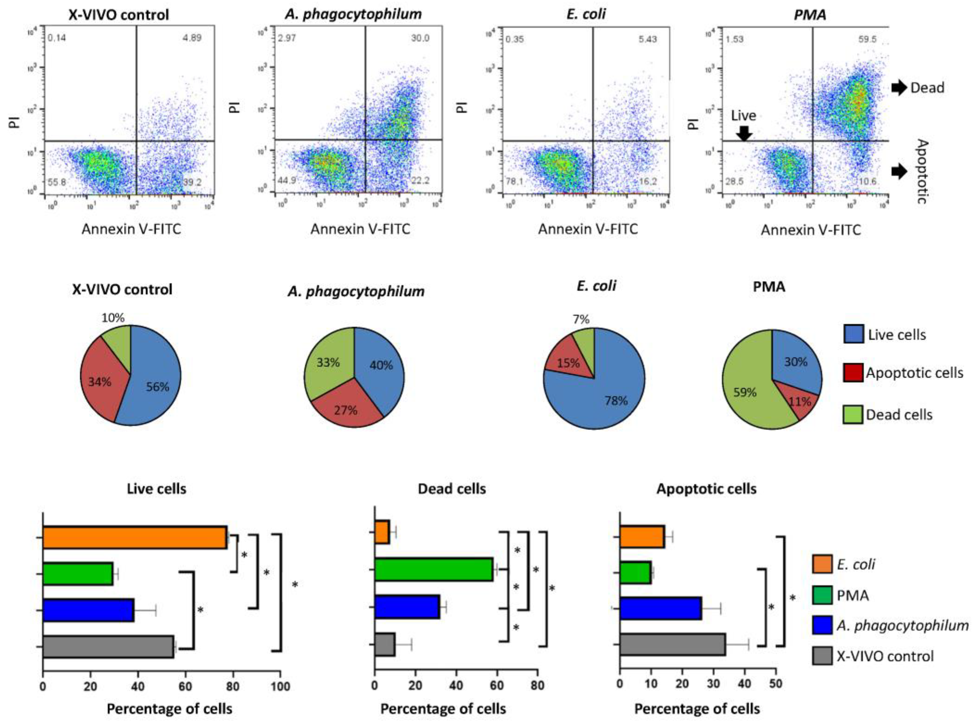 Vaccines 10 01756 g002