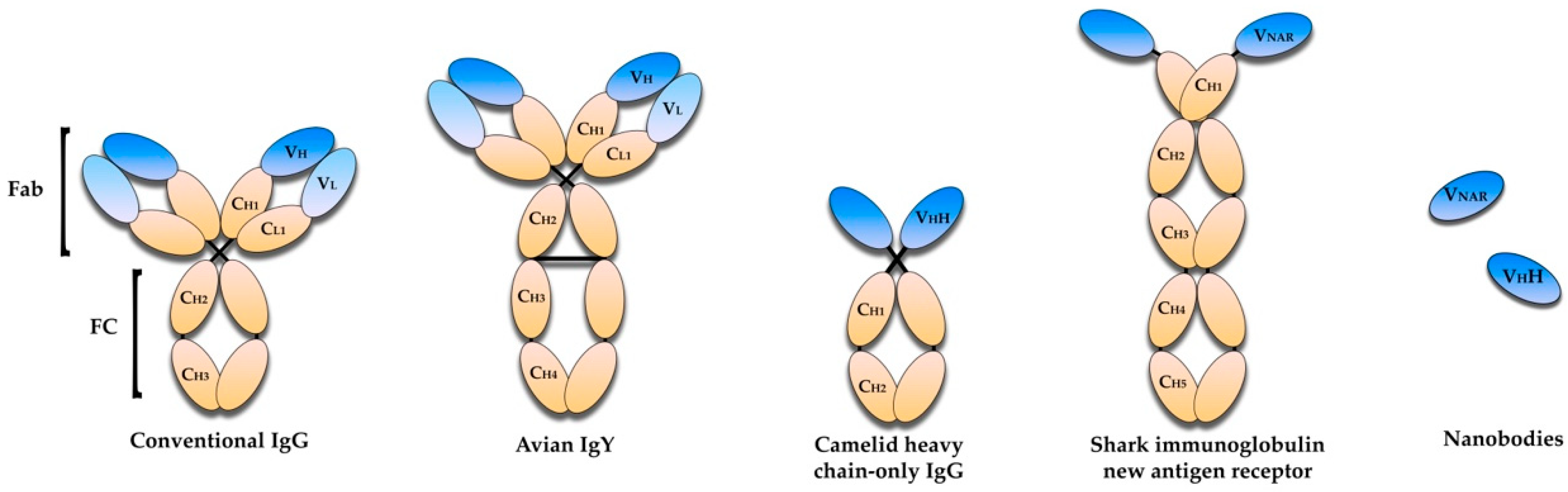 Vaccines 10 01789 g002