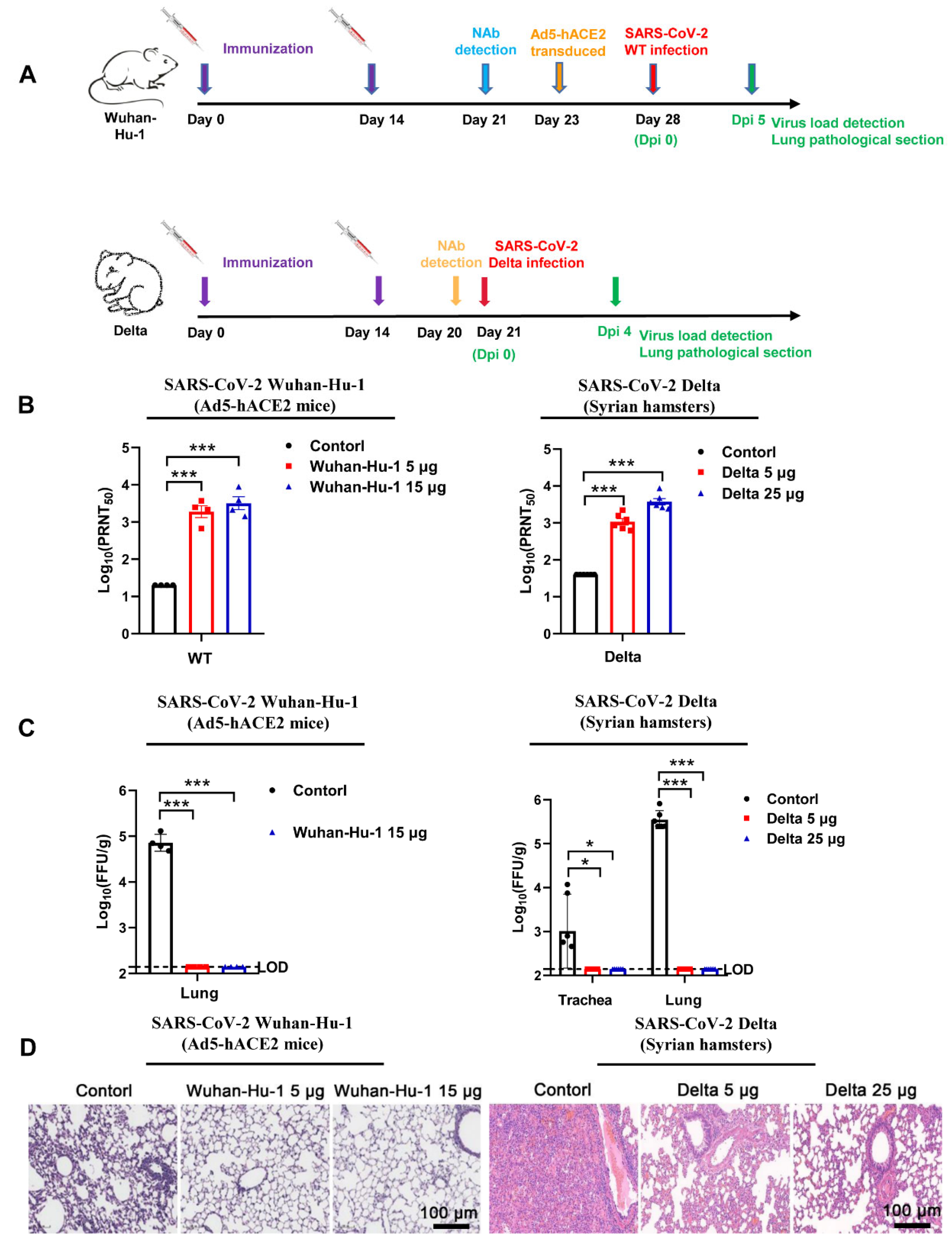 Vaccines 10 01807 g002 Vaccines 10 01807 g002