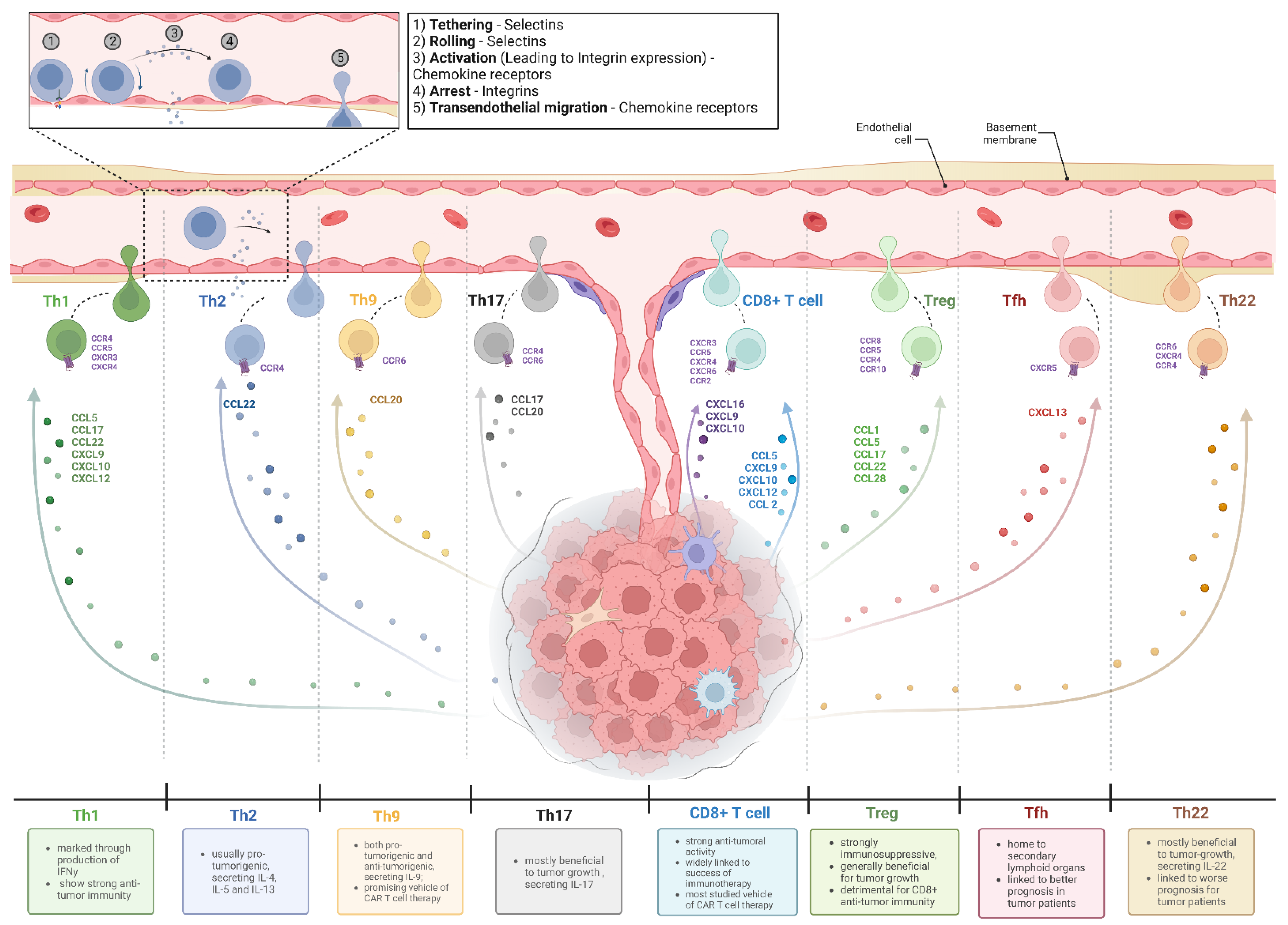 Vaccines 10 01845 g001