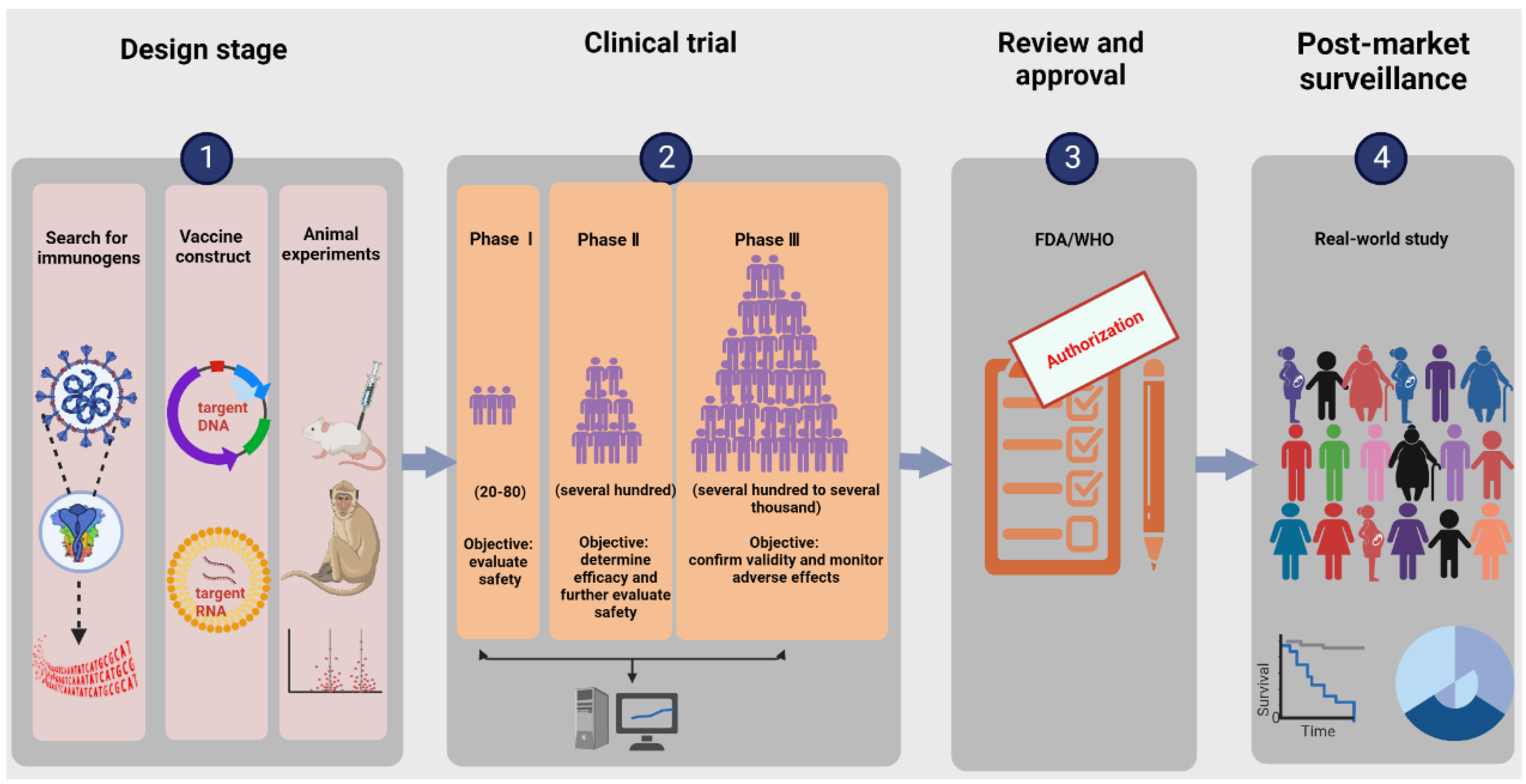 Safety and immunogenicity of INO-4800 DNA vaccine against SARS-CoV