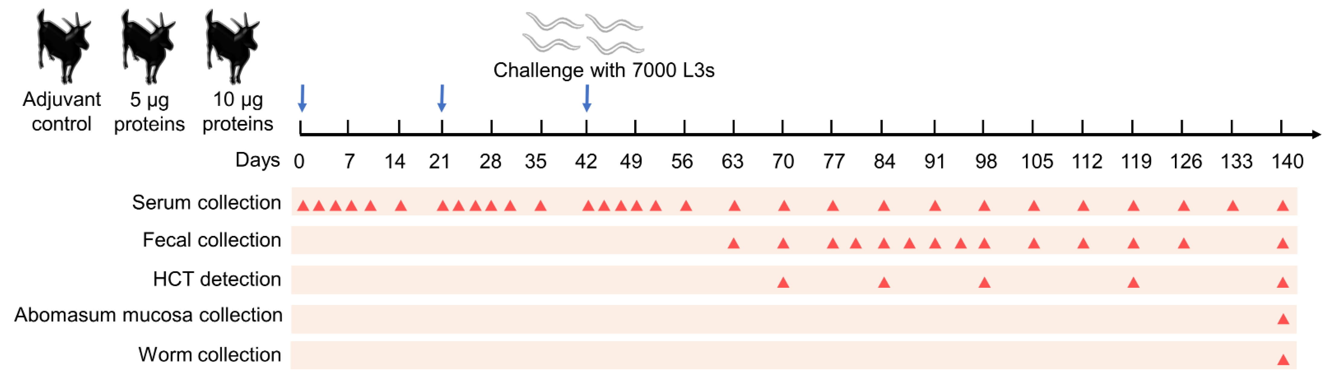Vaccines 10 01891 g001
