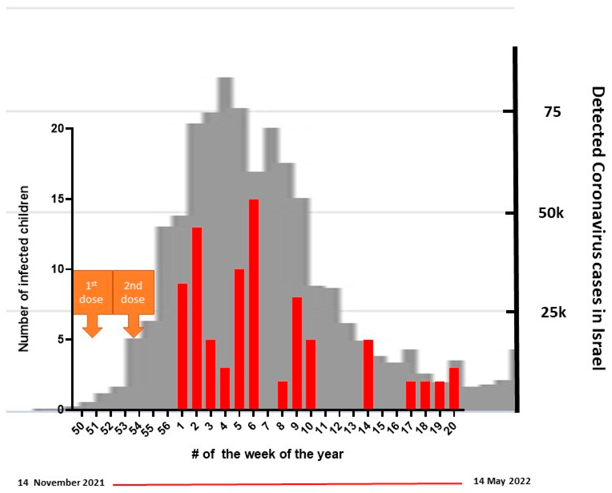 Vaccines 10 01954 g002