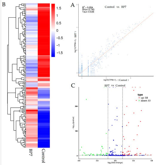 Vaccines | Free Full-Text | Bursal-Derived BP7 Induces The MiRNA ...