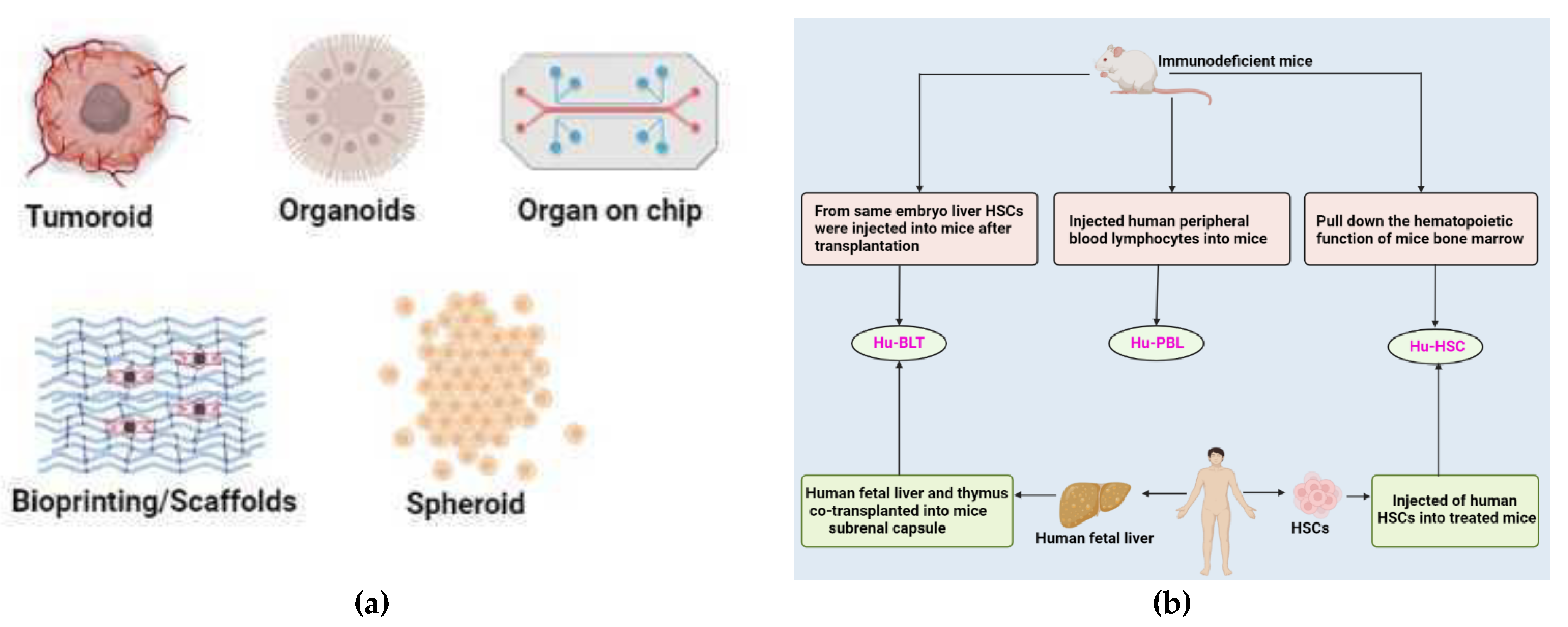 Vaccines 10 01963 g003