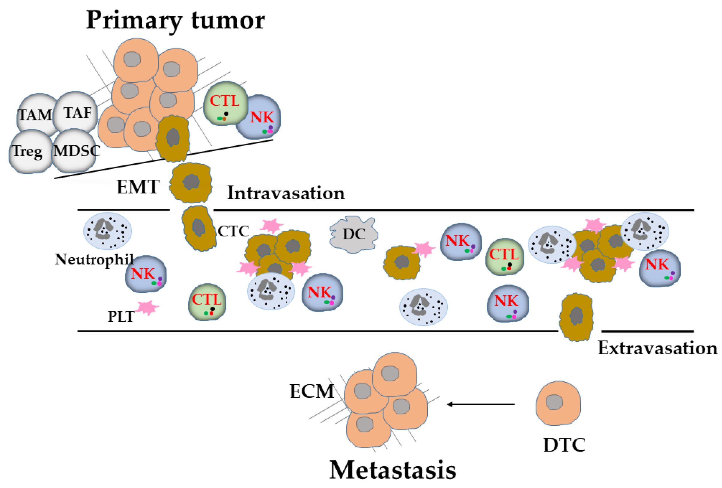 Vaccines | Free Full-Text | Harnessing NK Cells to Control Metastasis