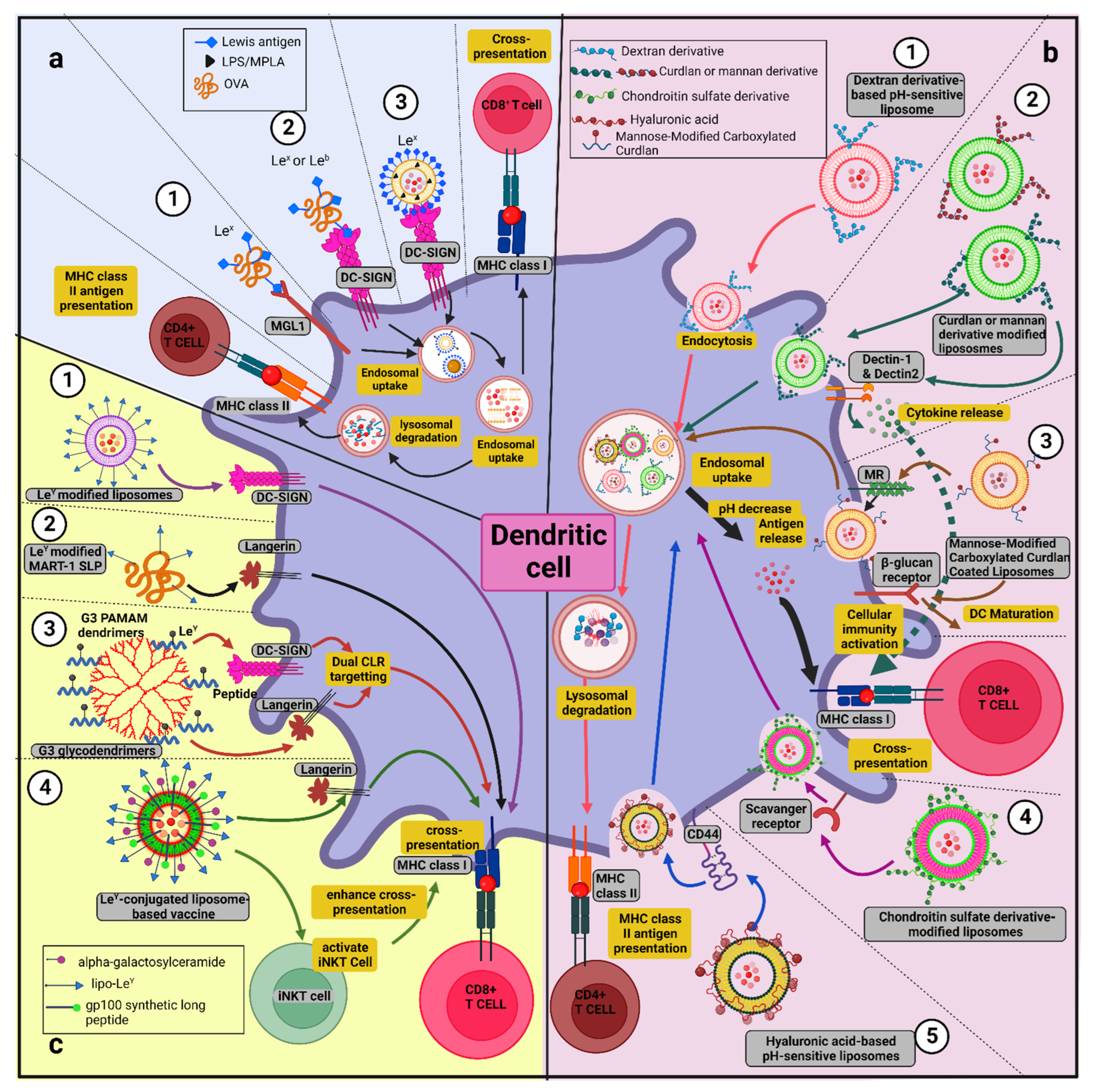 Vaccines, Free Full-Text