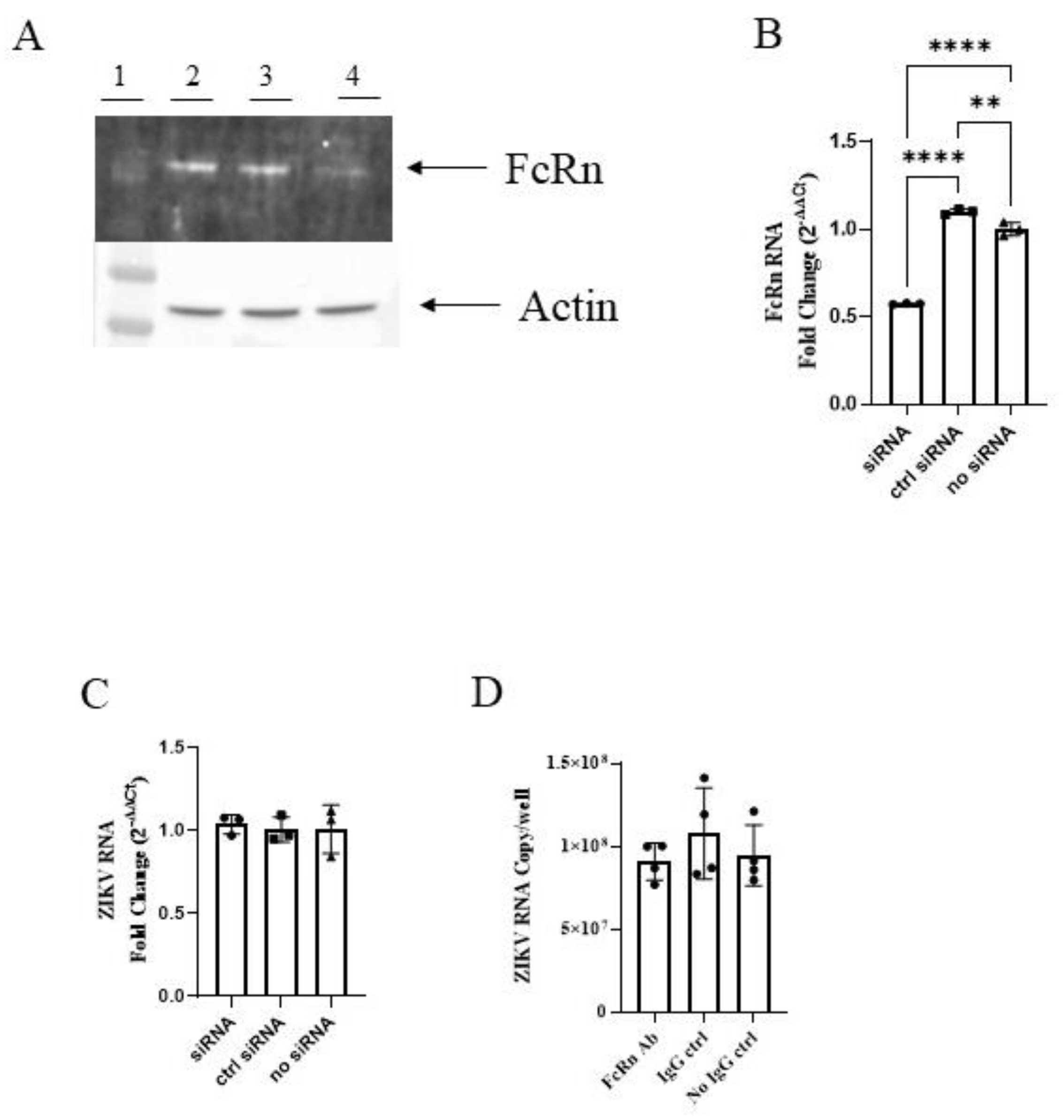 Vaccines 10 02059 g003 Vaccines 10 02059 g003