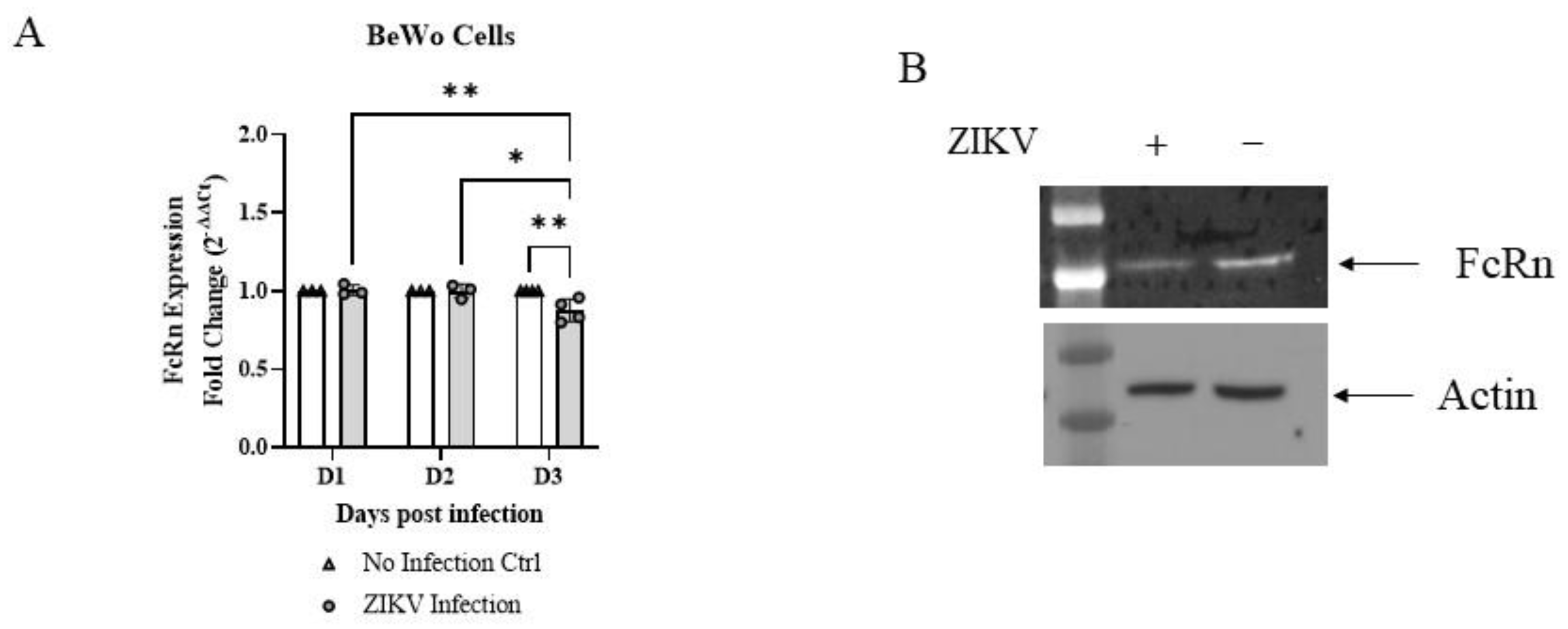 Vaccines 10 02059 g004 Vaccines 10 02059 g004