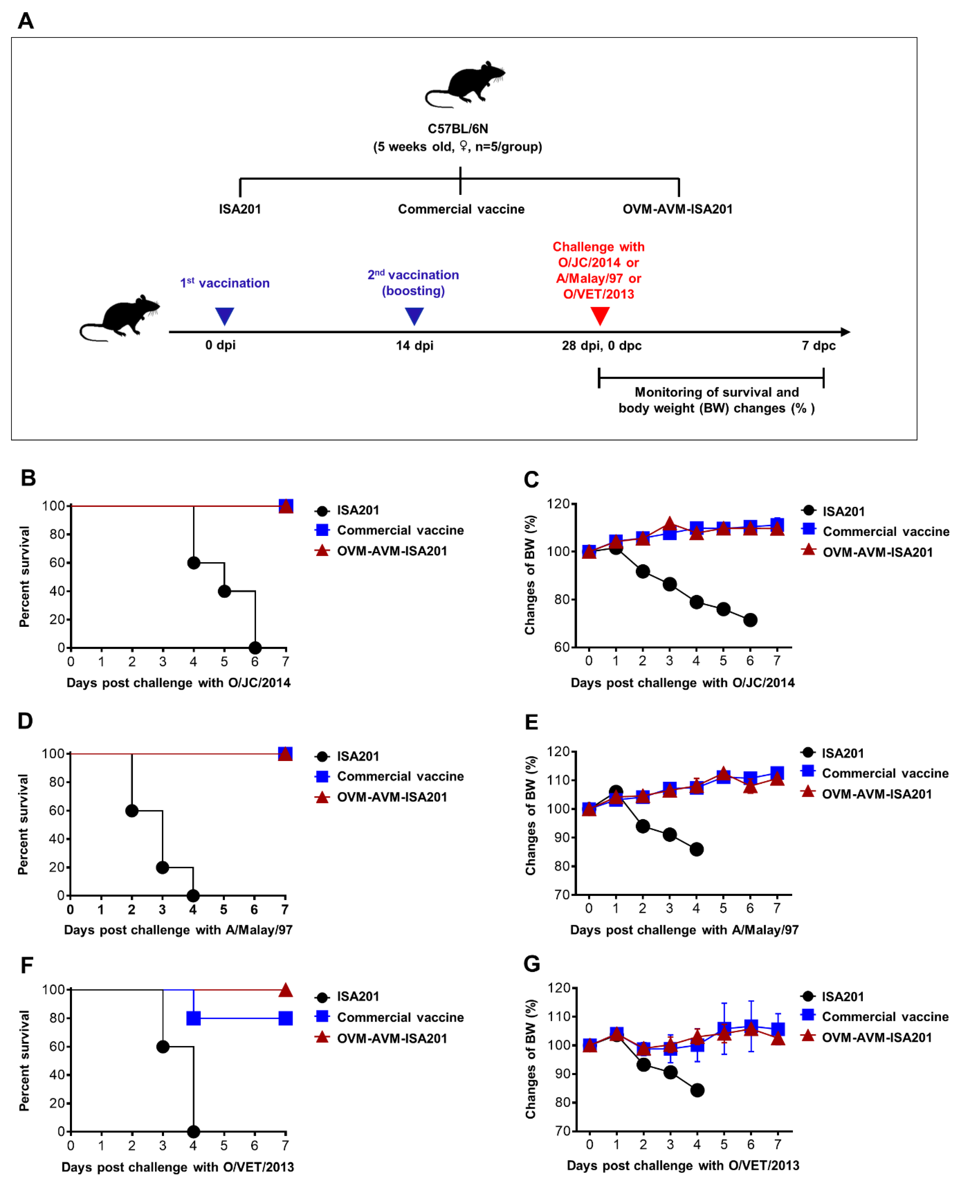 Vaccines 10 02181 g003
