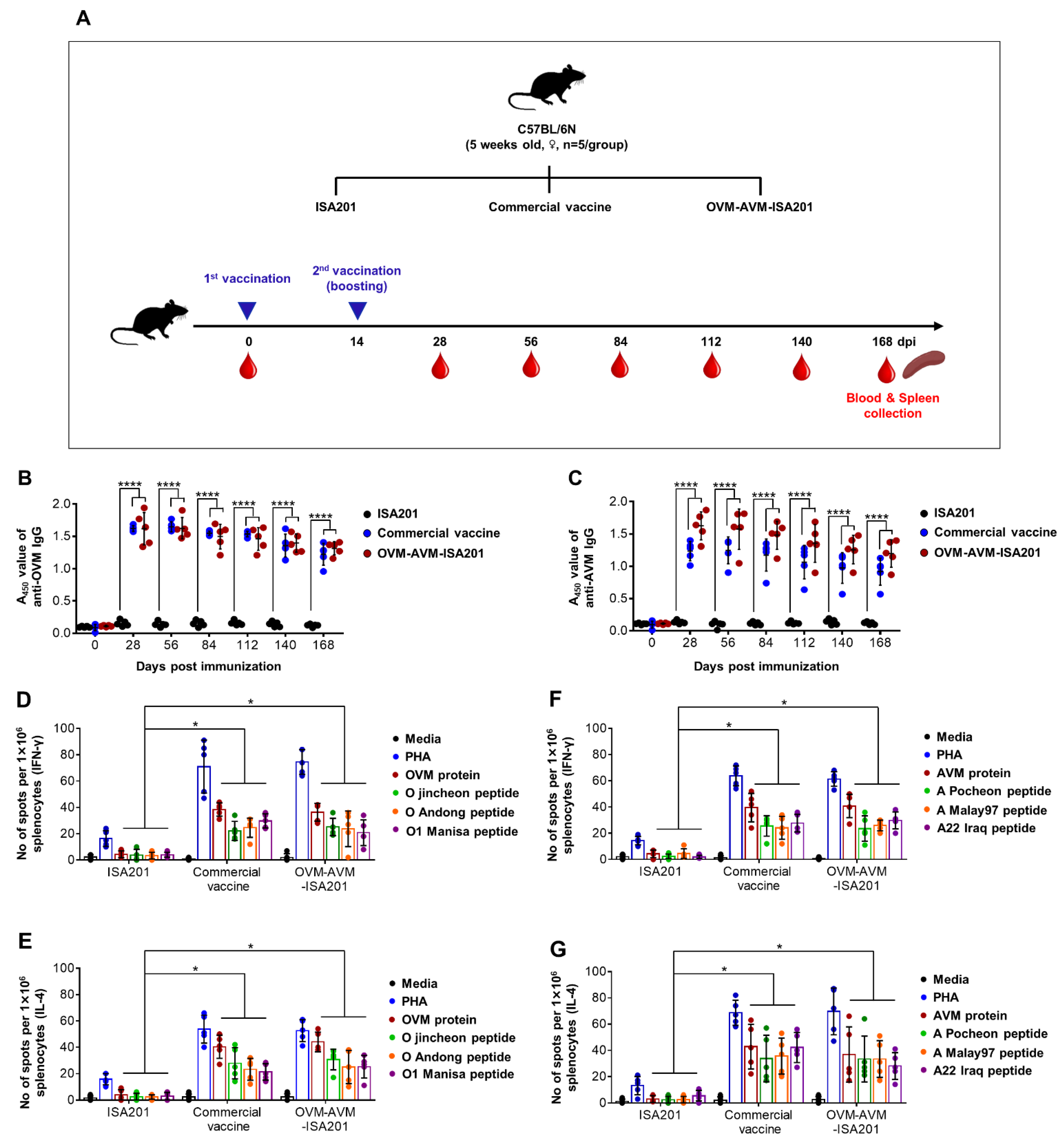 Vaccines 10 02181 g004