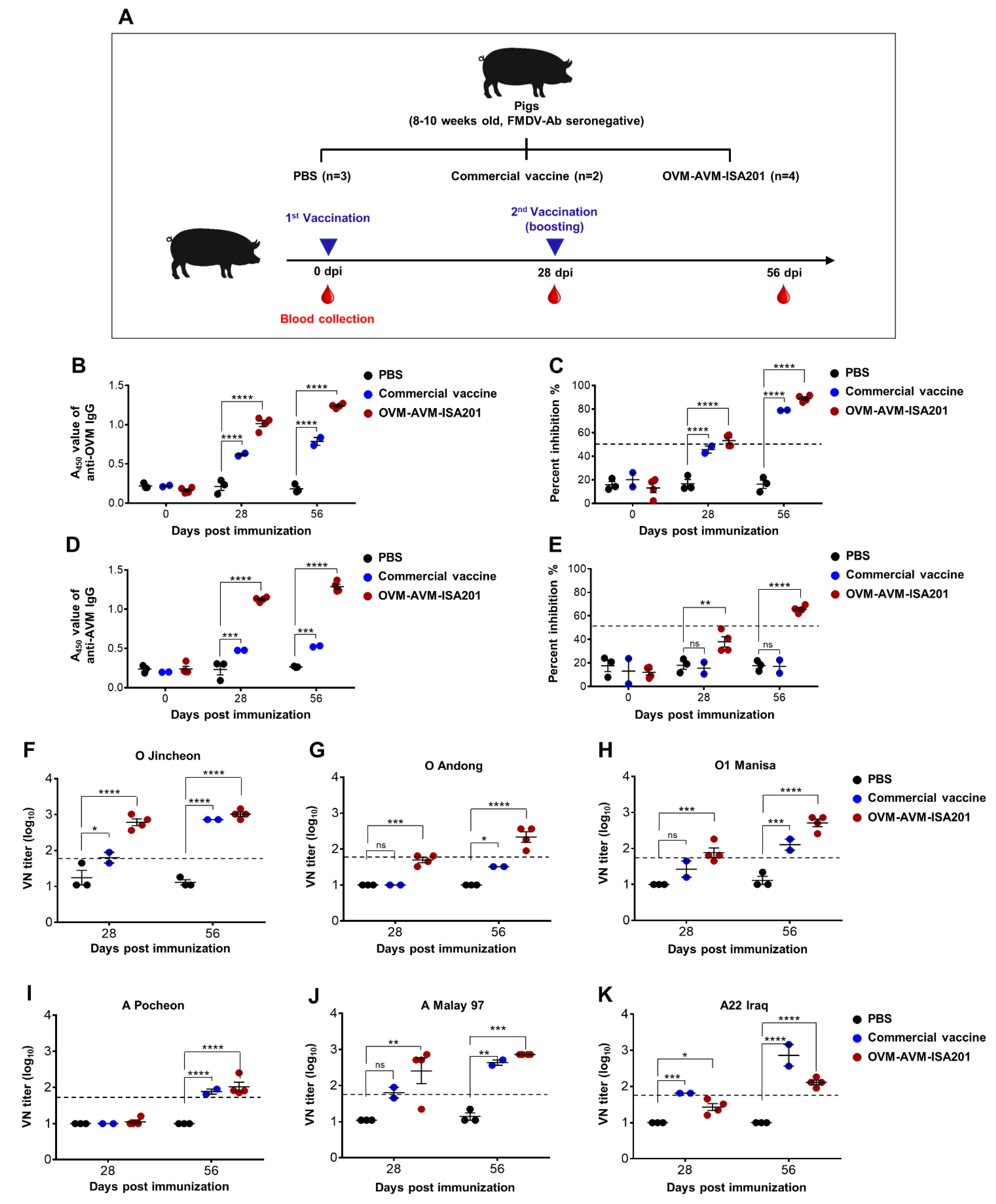 Vaccines 10 02181 g005