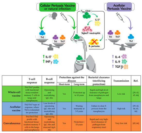 Vaccines | Free Full-Text | Evaluation Of Whole-Cell And Acellular ...