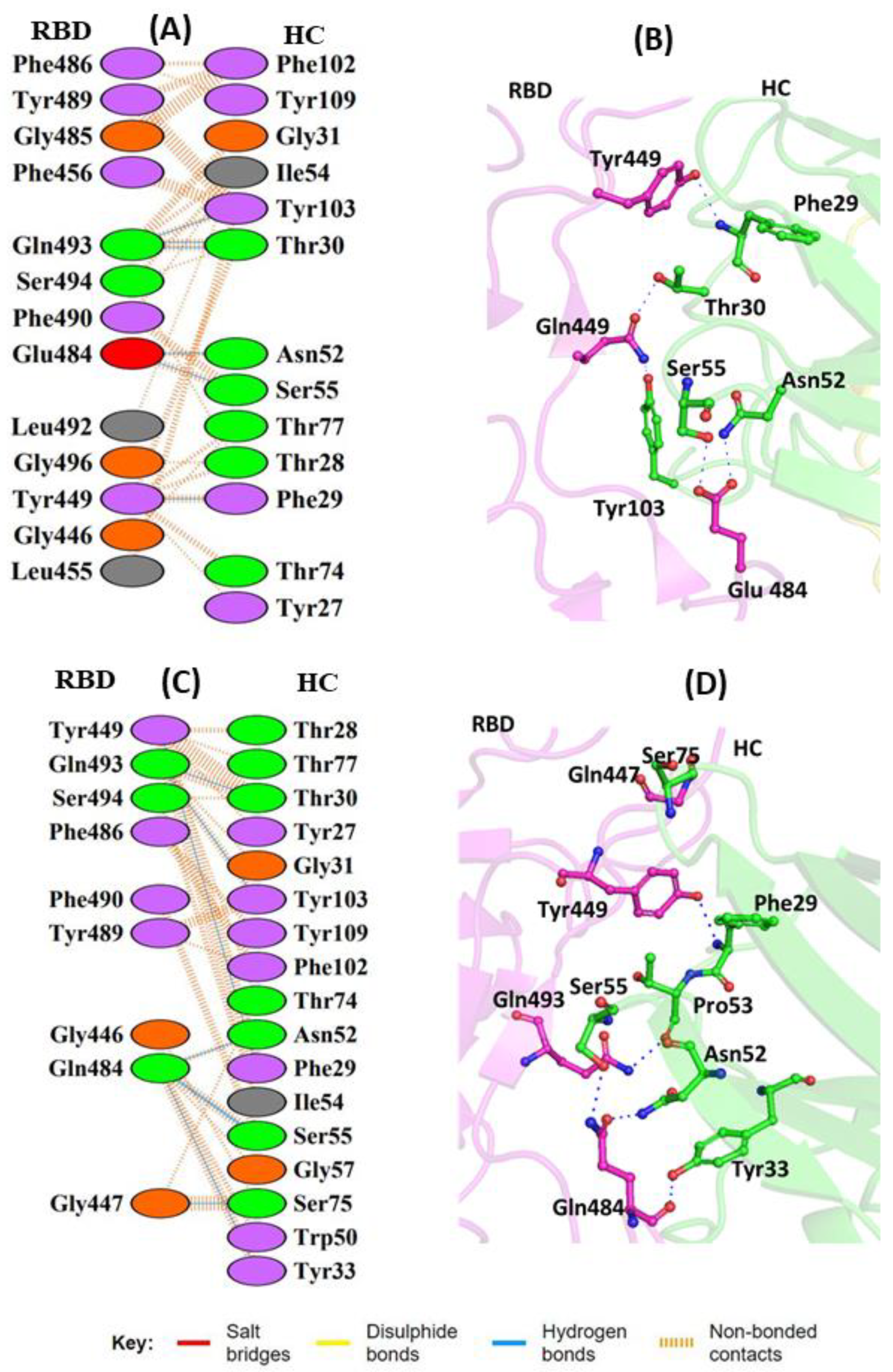 Vaccines 11 00023 g004