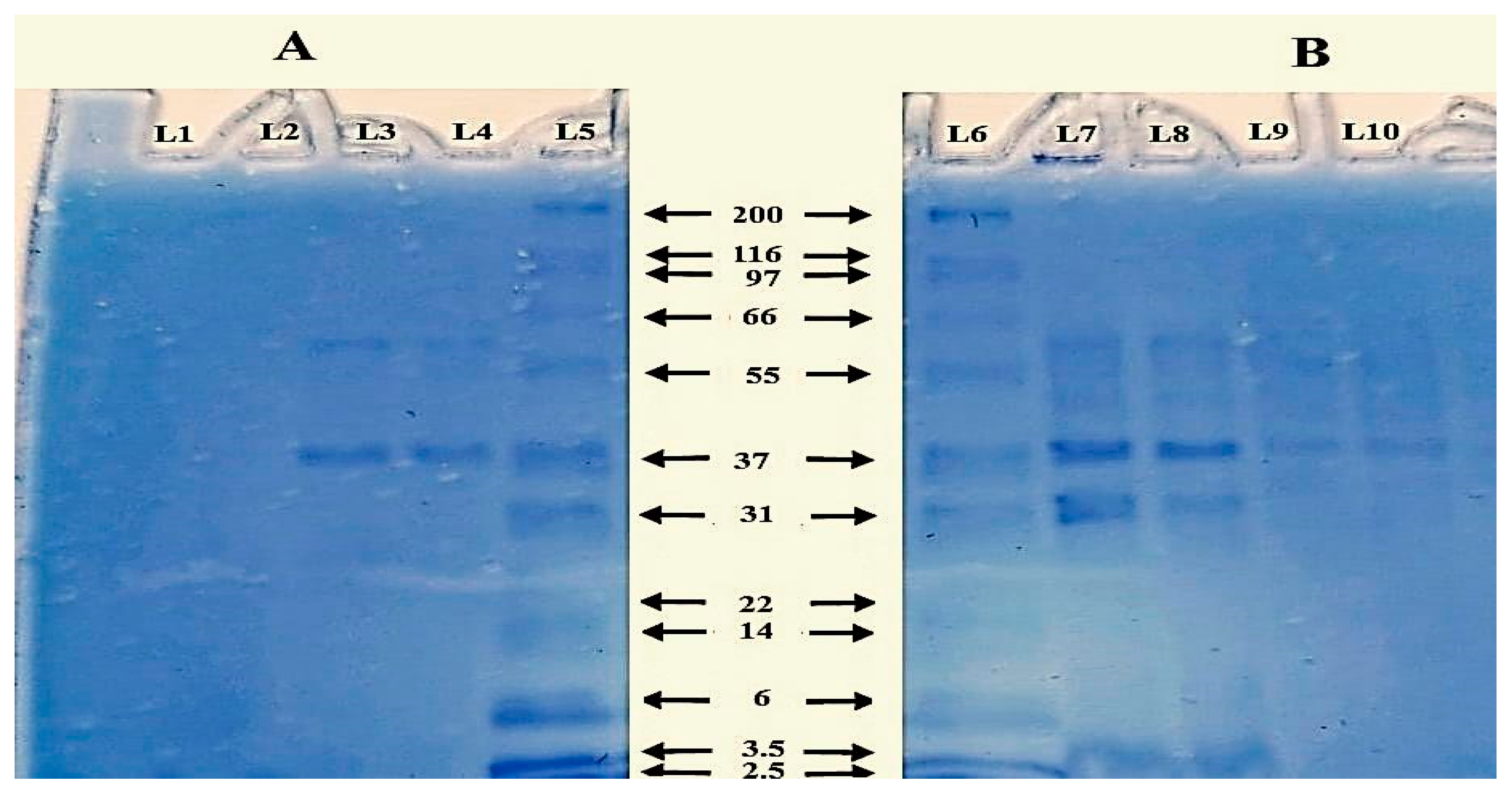 Vaccines 11 00037 g002