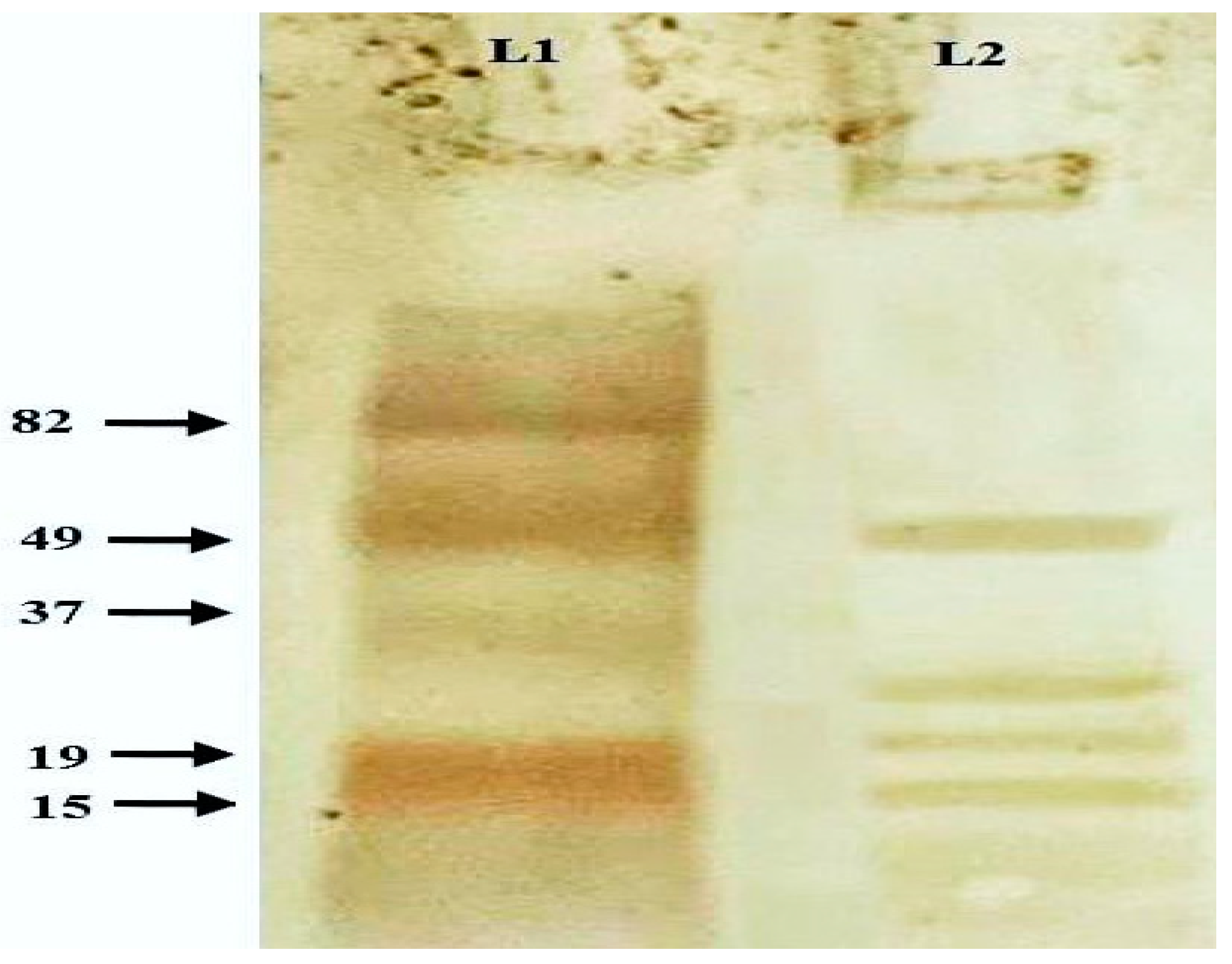 Vaccines 11 00037 g003