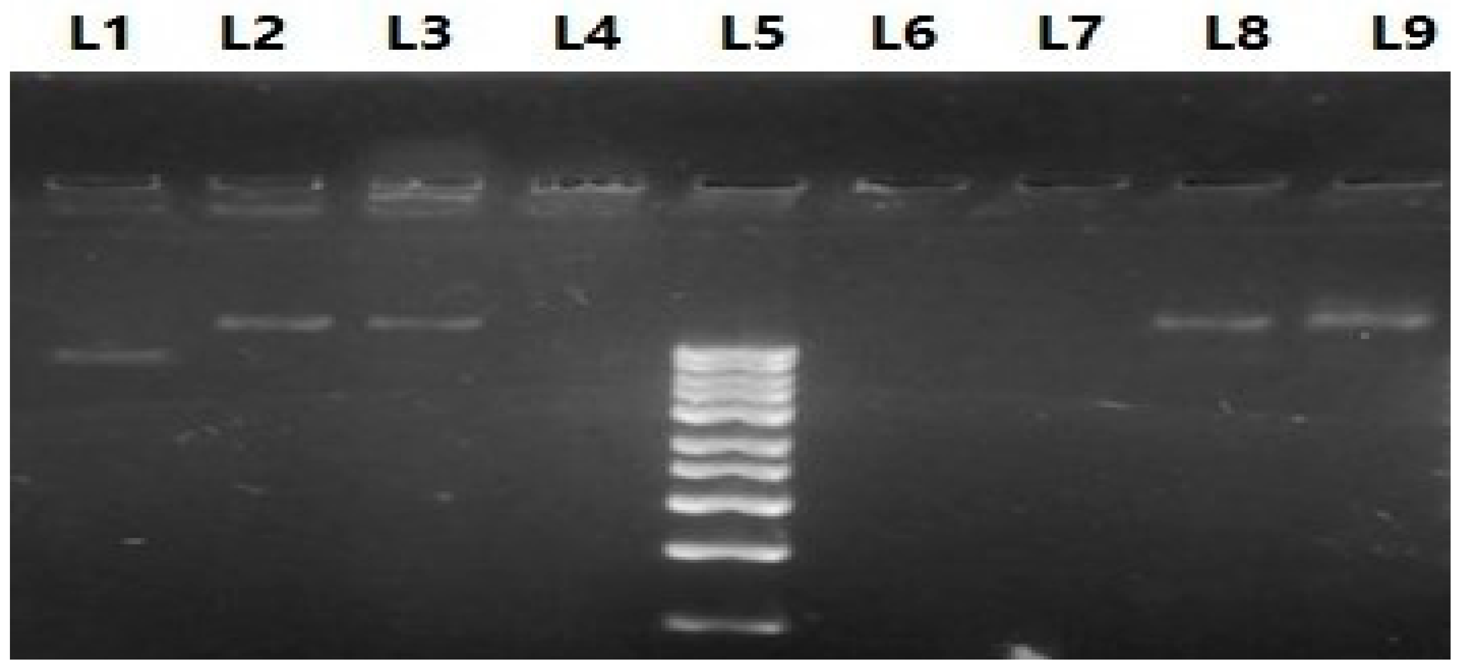 Vaccines 11 00037 g004