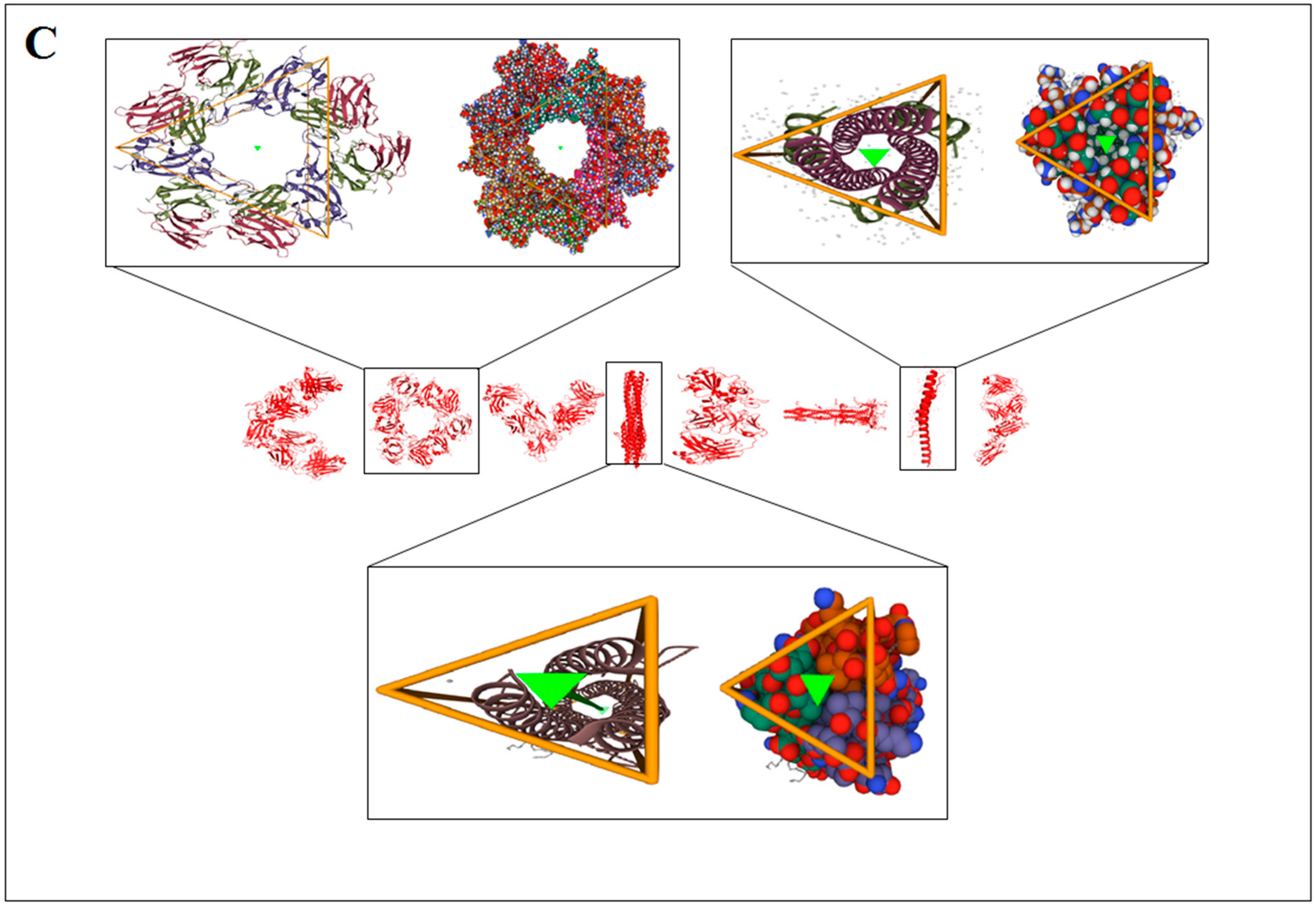 Vaccines 11 00038 g003b