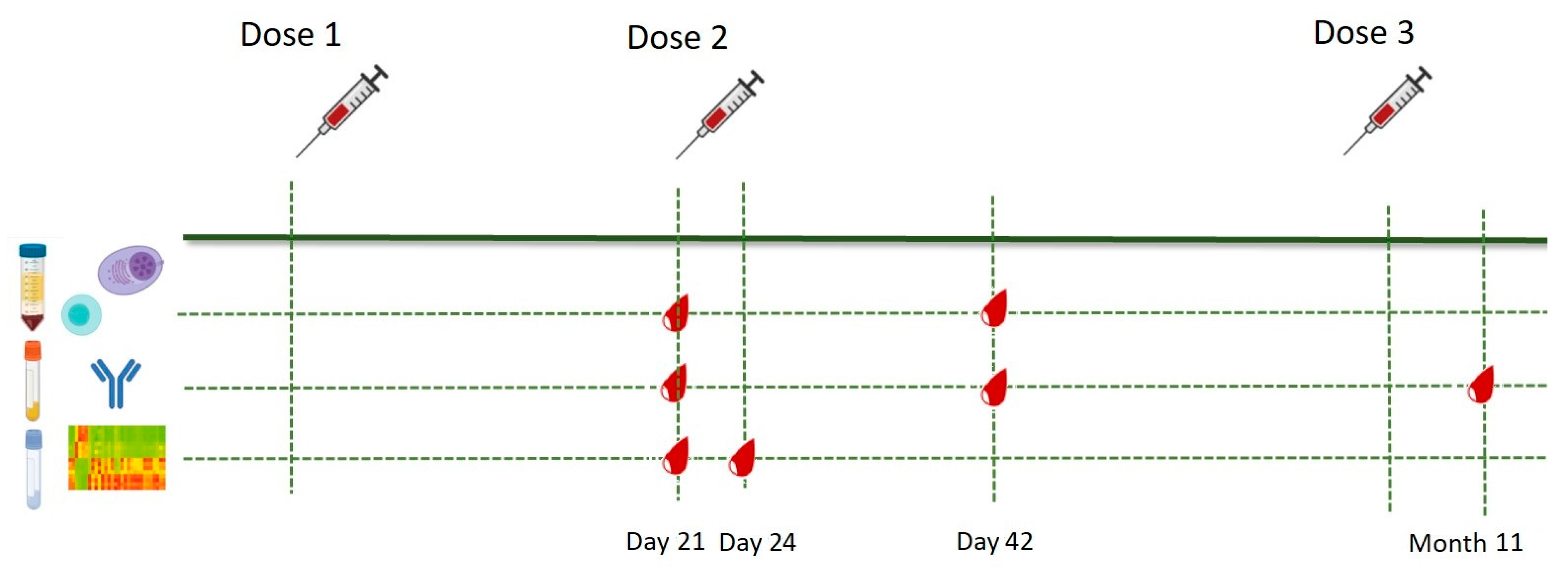 Vaccines 11 00103 g001