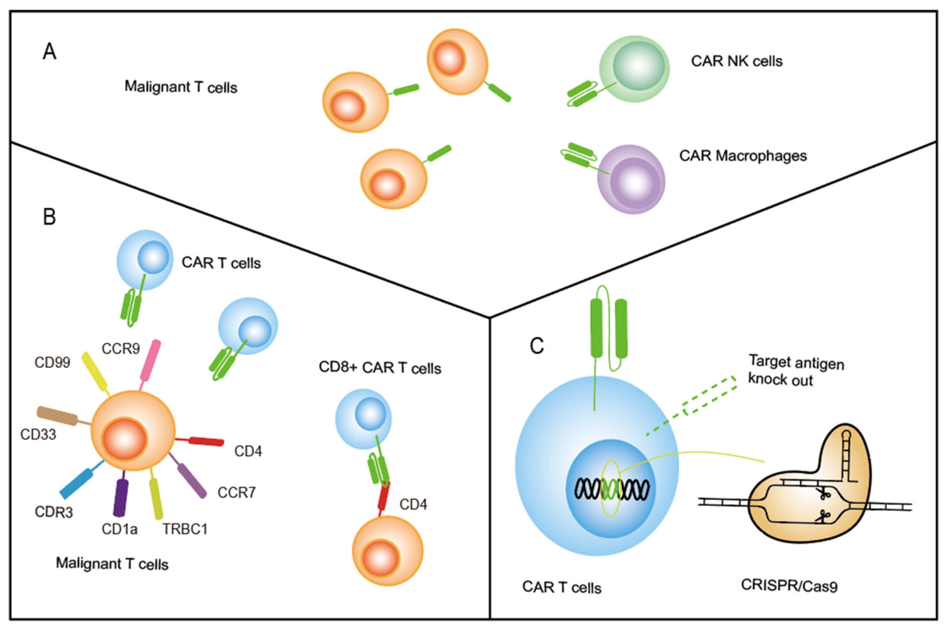 Vaccines 11 00165 g003